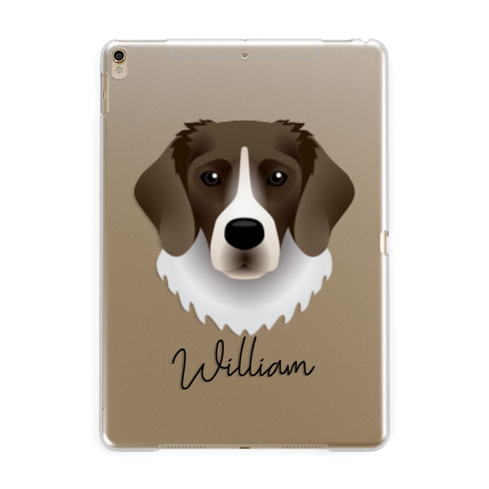 Stabyhoun Personalised Apple iPad Gold Case