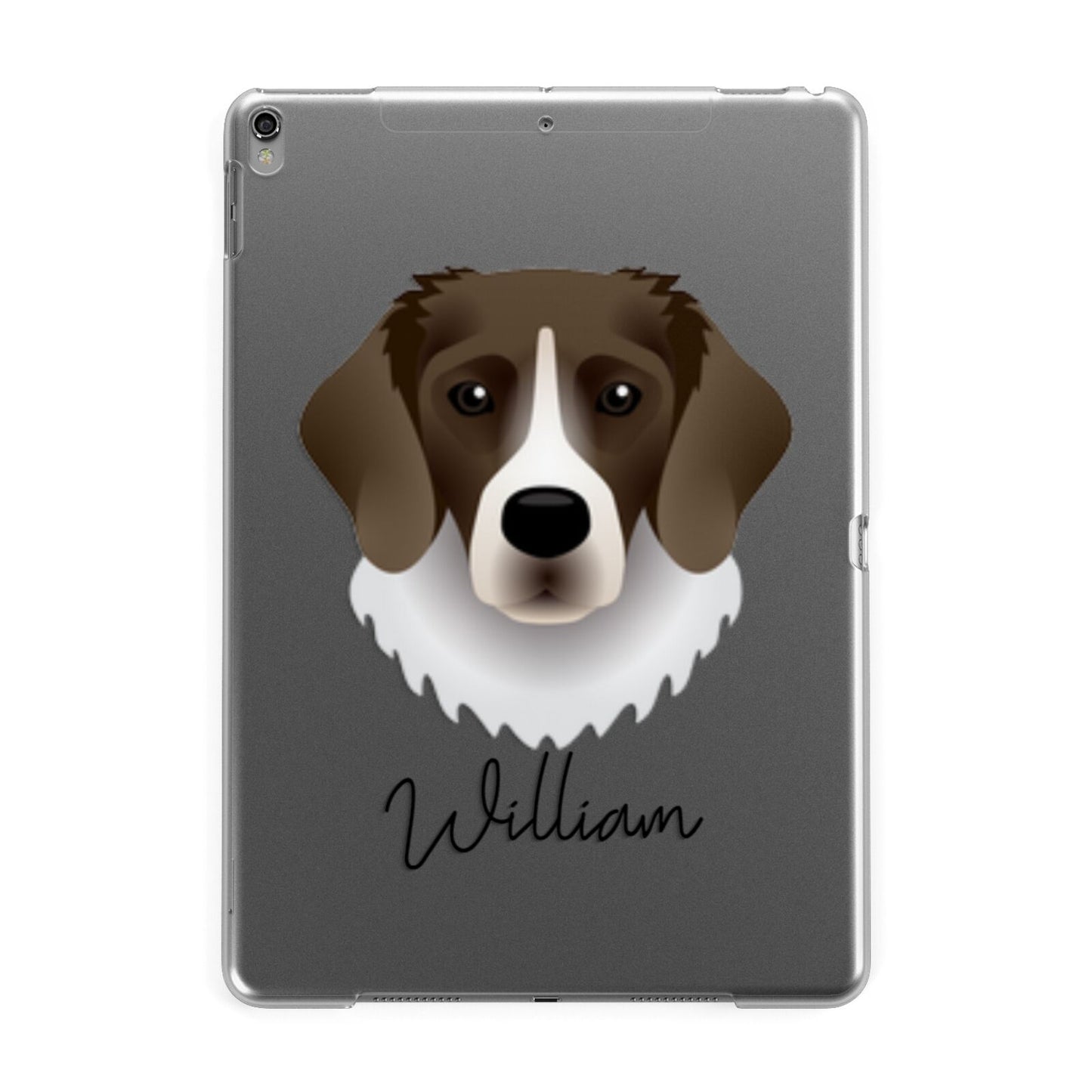Stabyhoun Personalised Apple iPad Grey Case