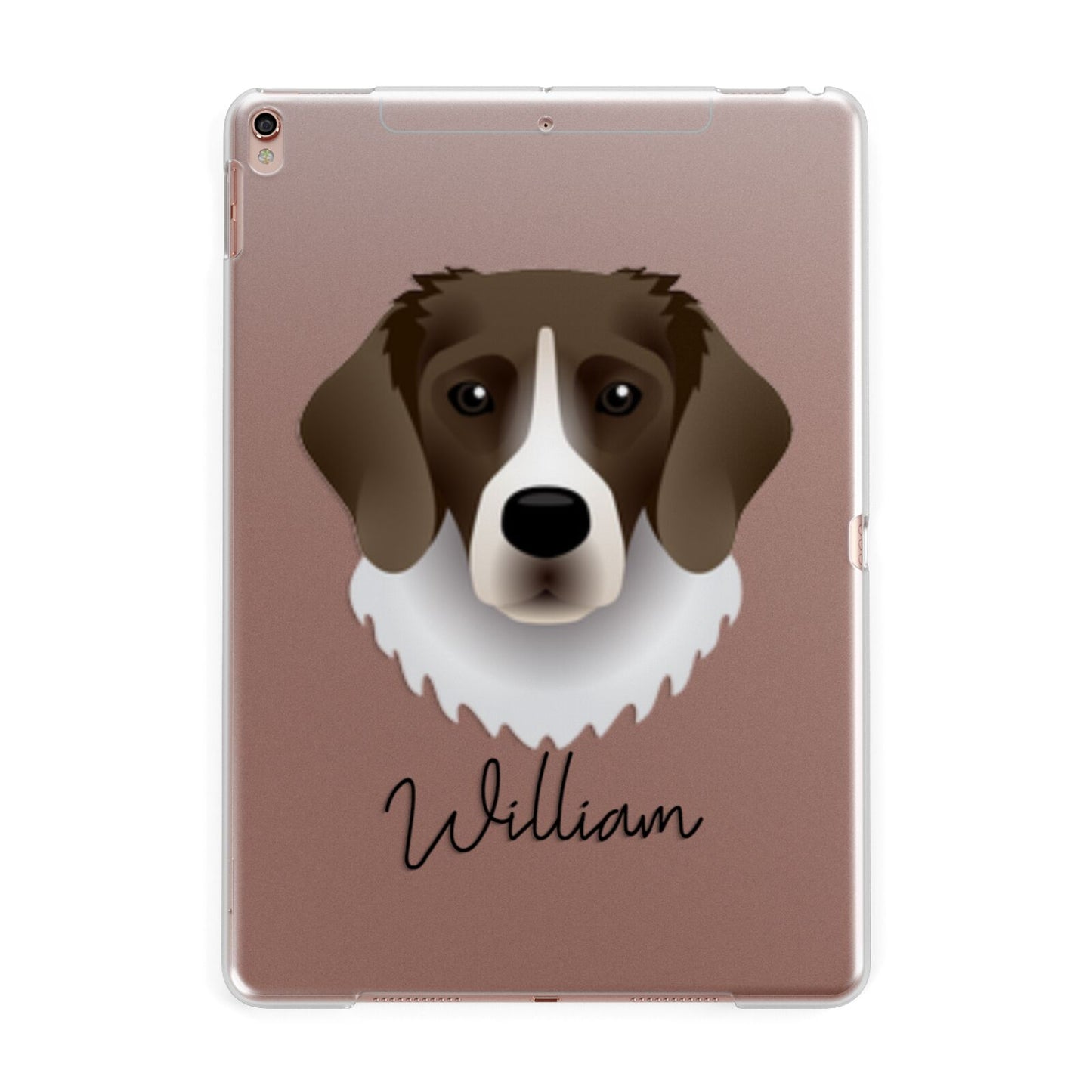 Stabyhoun Personalised Apple iPad Rose Gold Case