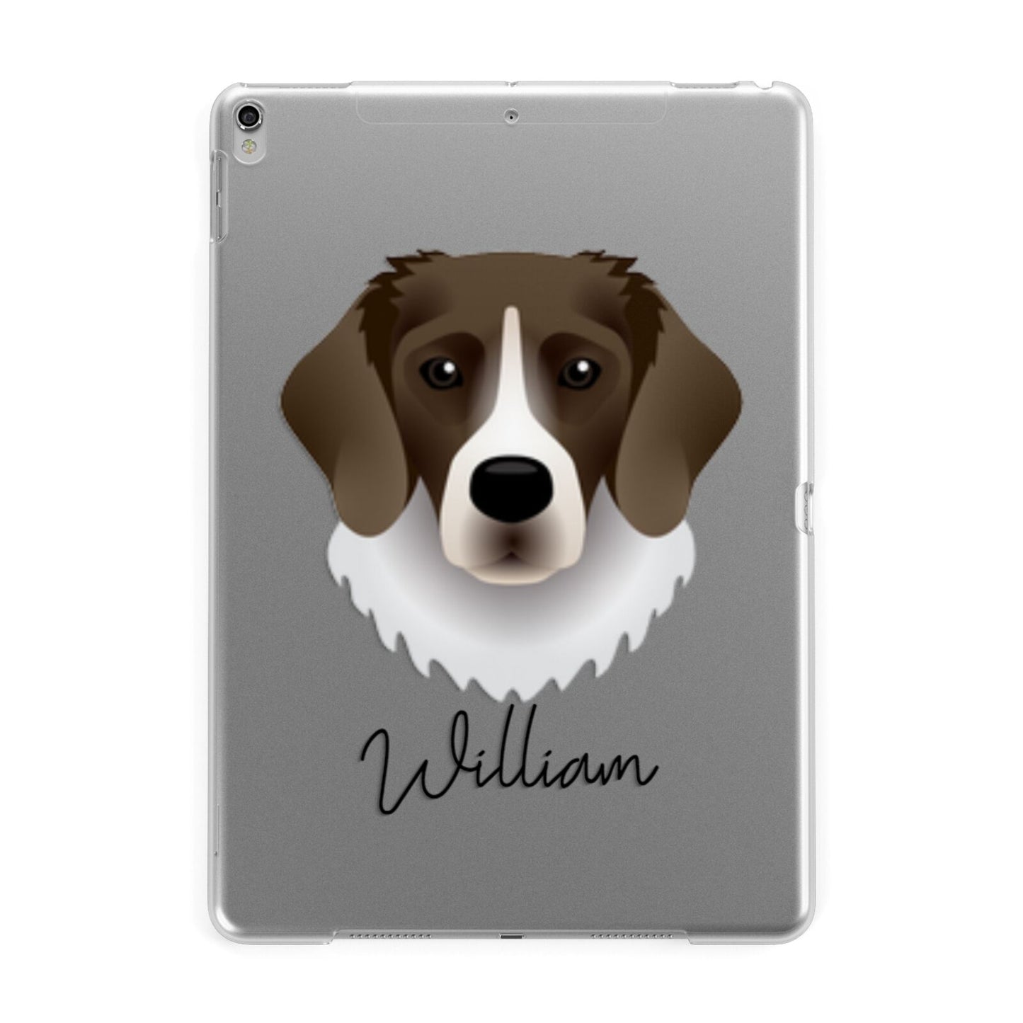 Stabyhoun Personalised Apple iPad Silver Case