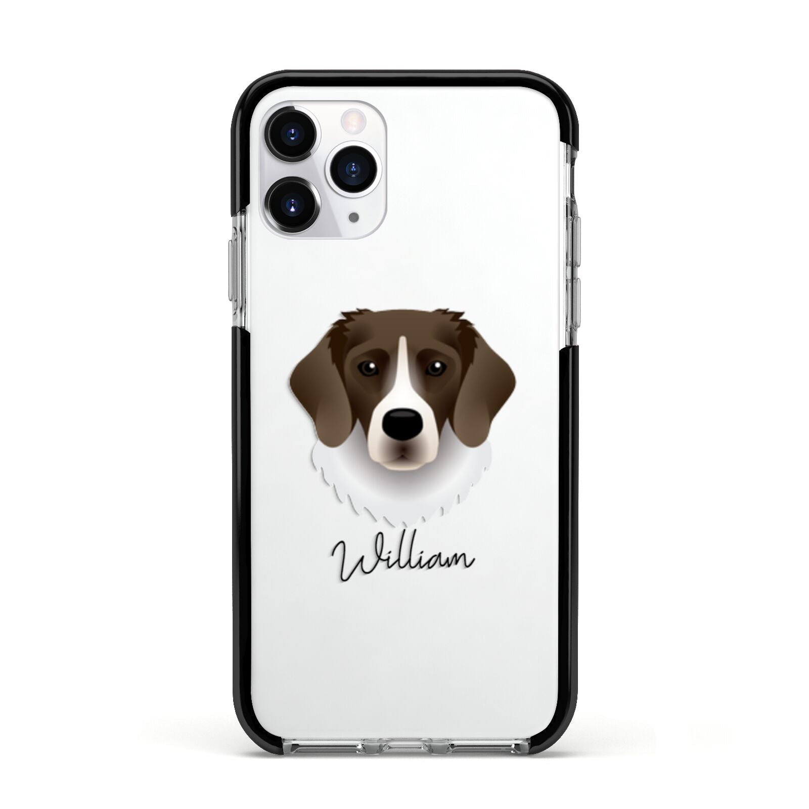Stabyhoun Personalised Apple iPhone 11 Pro in Silver with Black Impact Case