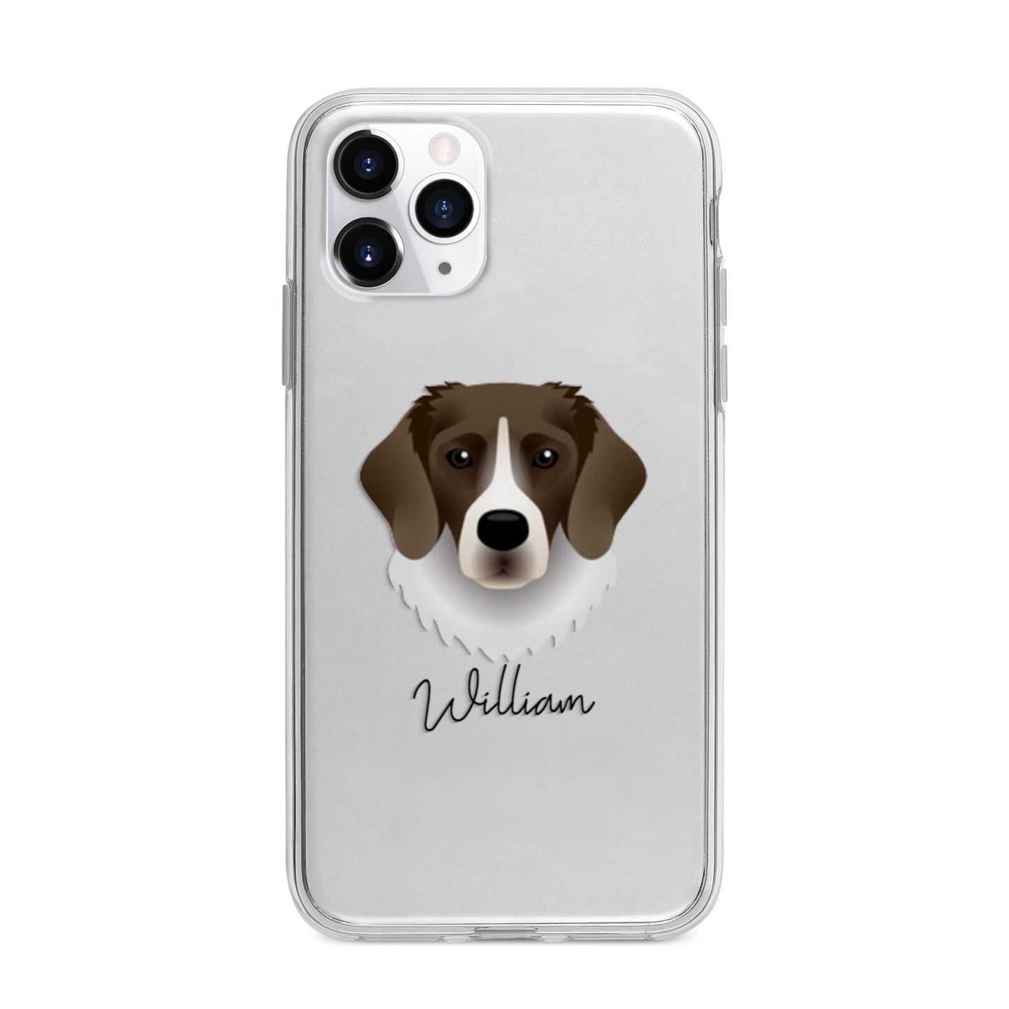 Stabyhoun Personalised Apple iPhone 11 Pro in Silver with Bumper Case