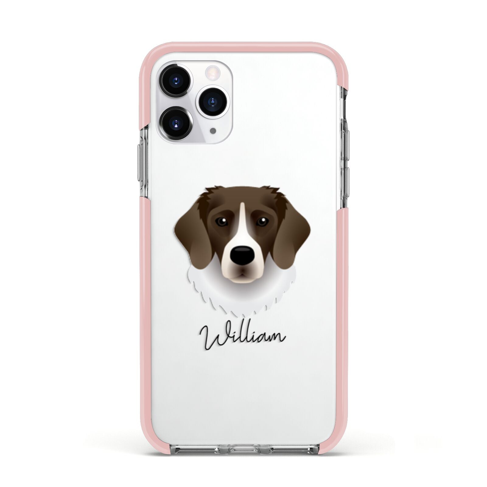 Stabyhoun Personalised Apple iPhone 11 Pro in Silver with Pink Impact Case