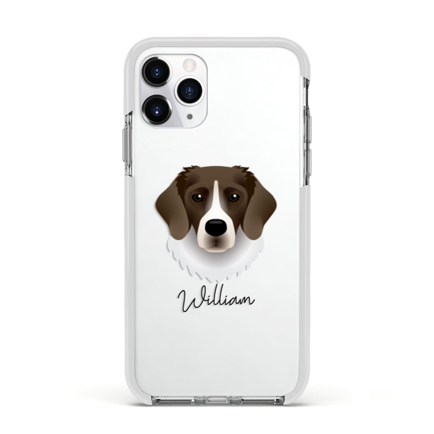 Stabyhoun Personalised Apple iPhone 11 Pro in Silver with White Impact Case