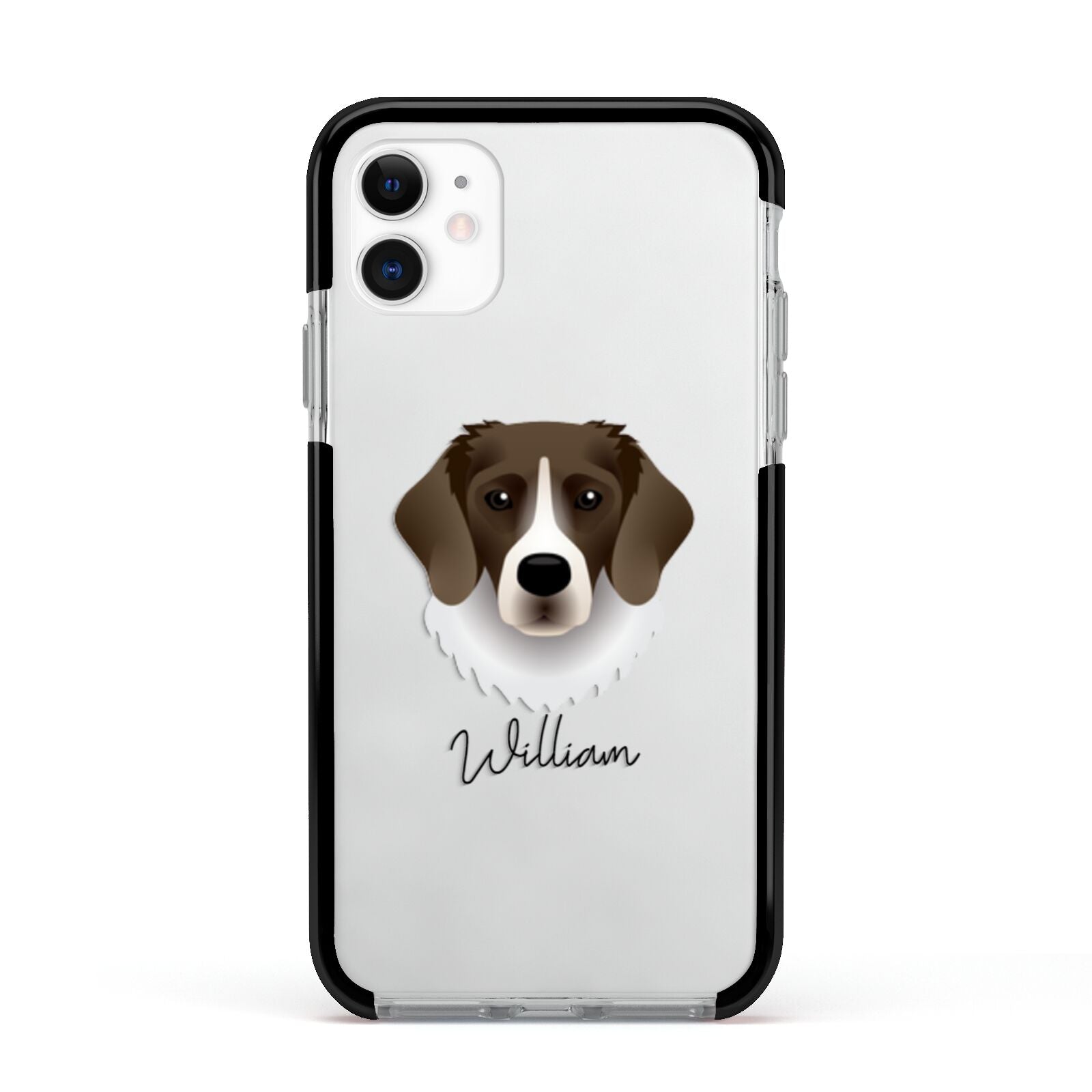 Stabyhoun Personalised Apple iPhone 11 in White with Black Impact Case