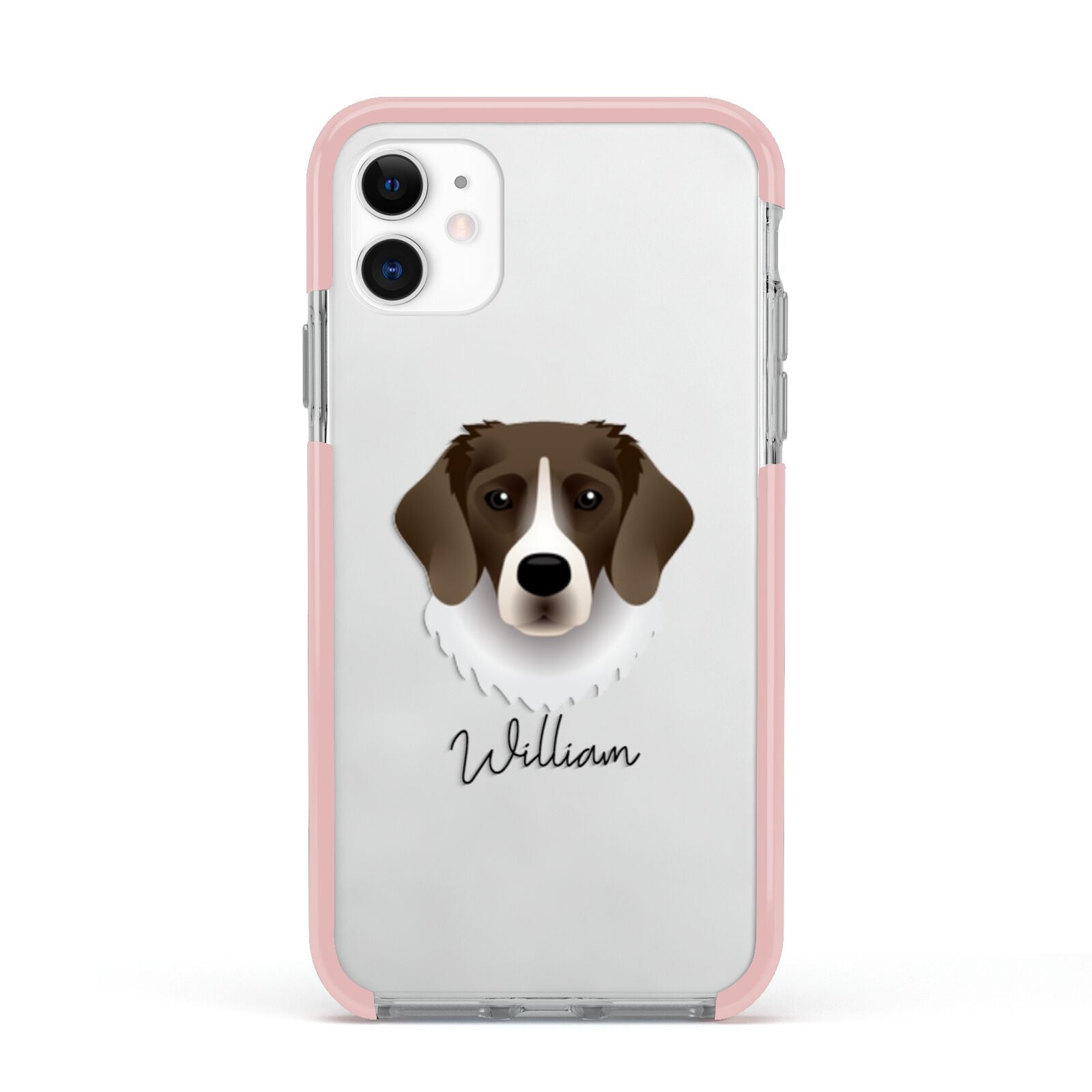 Stabyhoun Personalised Apple iPhone 11 in White with Pink Impact Case