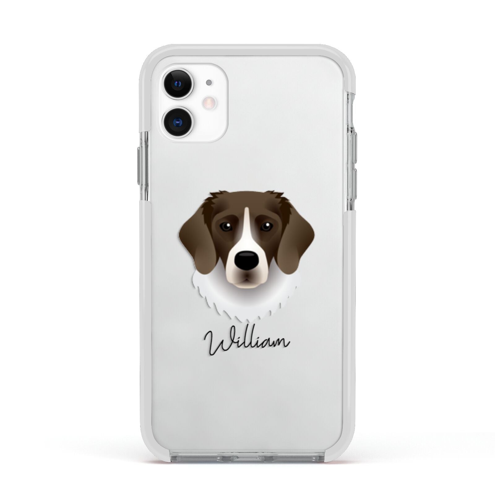 Stabyhoun Personalised Apple iPhone 11 in White with White Impact Case