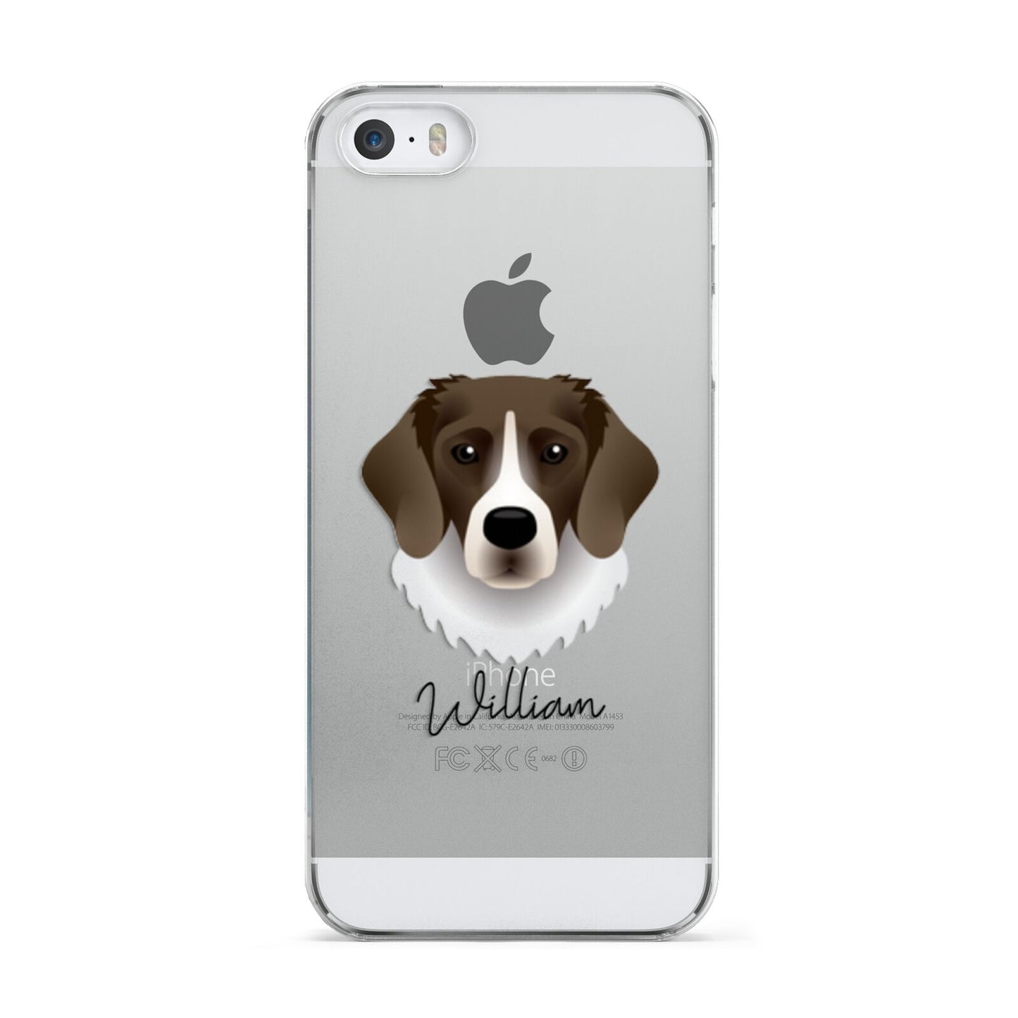Stabyhoun Personalised Apple iPhone 5 Case