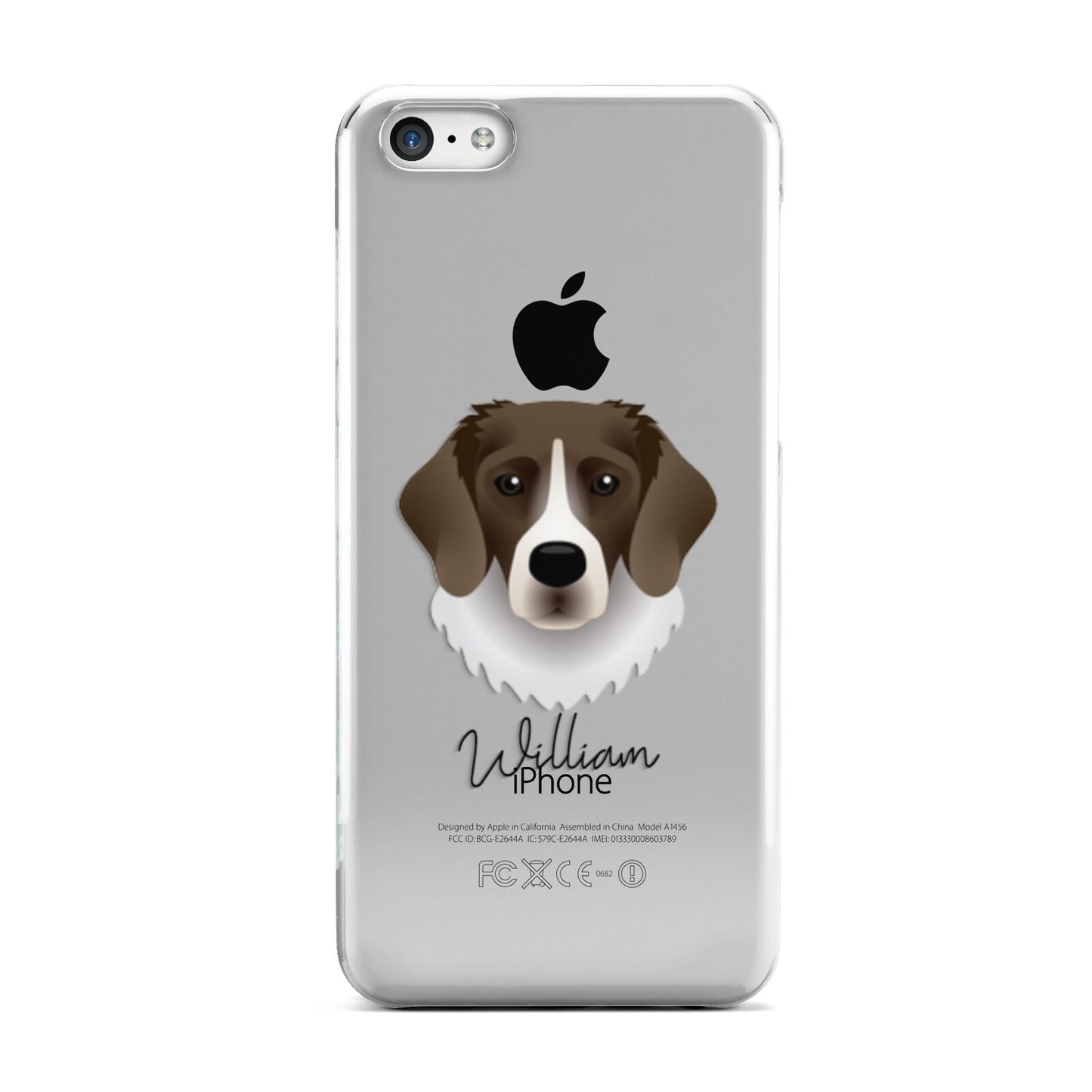 Stabyhoun Personalised Apple iPhone 5c Case
