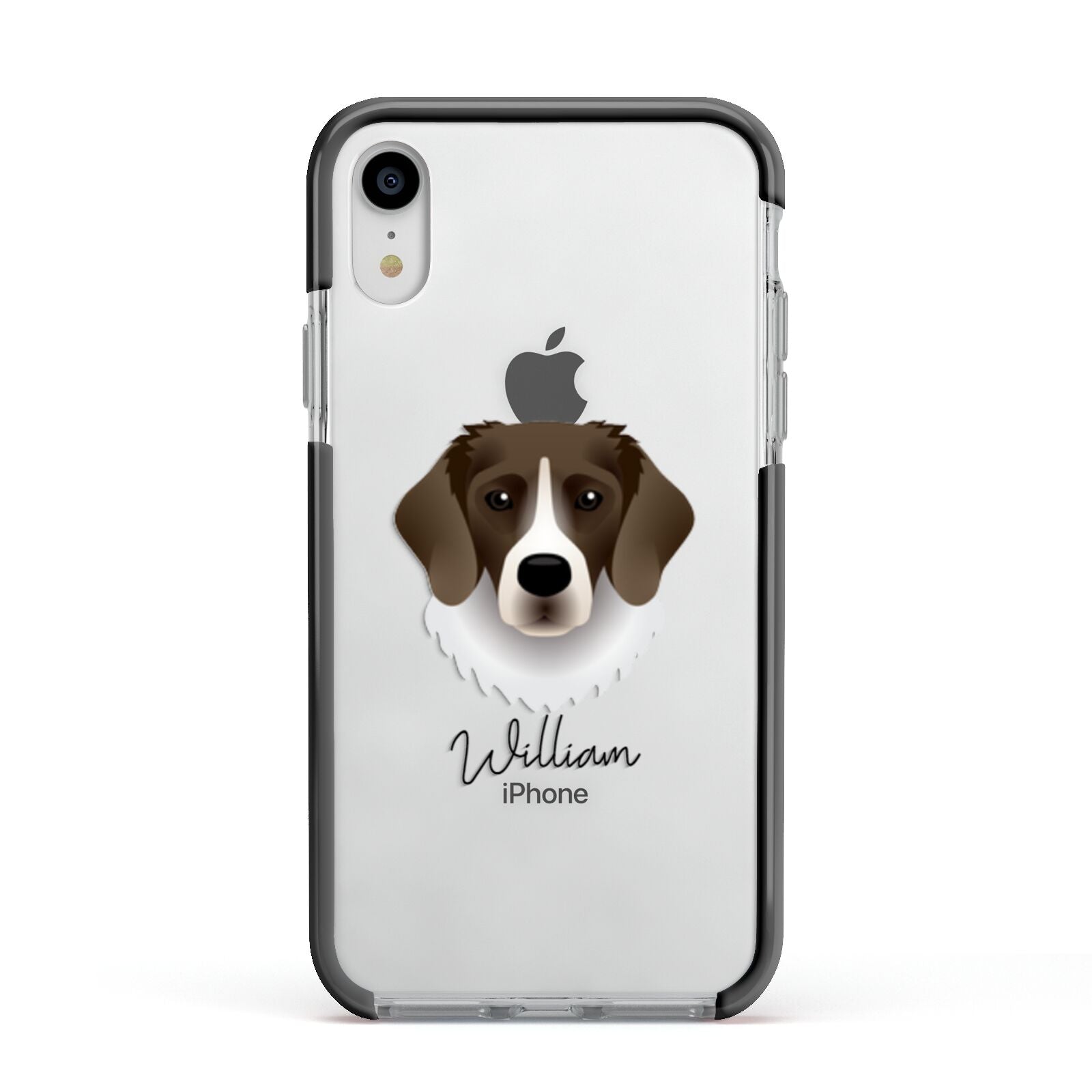 Stabyhoun Personalised Apple iPhone XR Impact Case Black Edge on Silver Phone