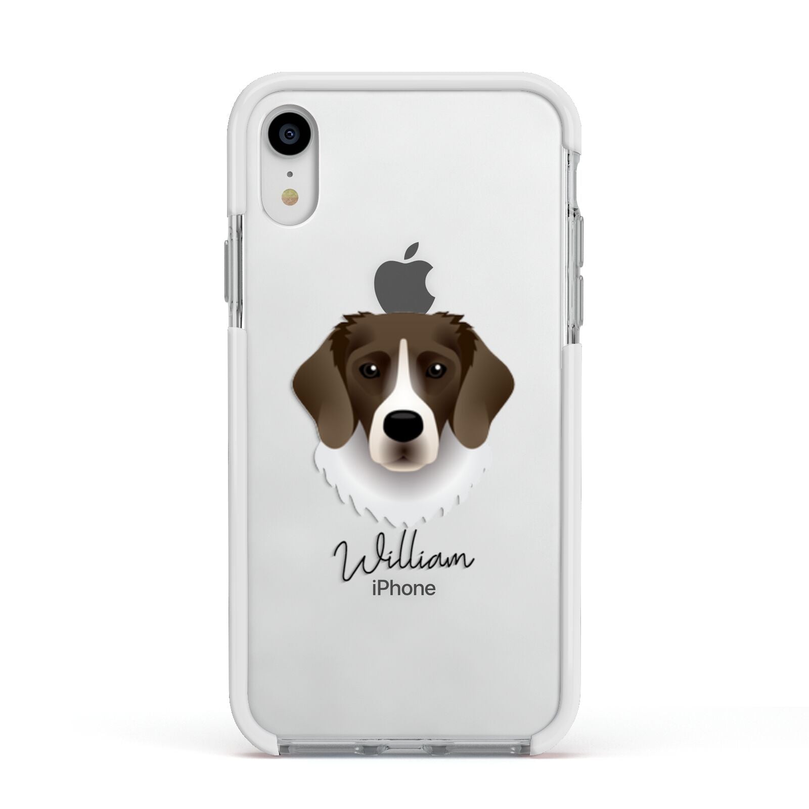 Stabyhoun Personalised Apple iPhone XR Impact Case White Edge on Silver Phone