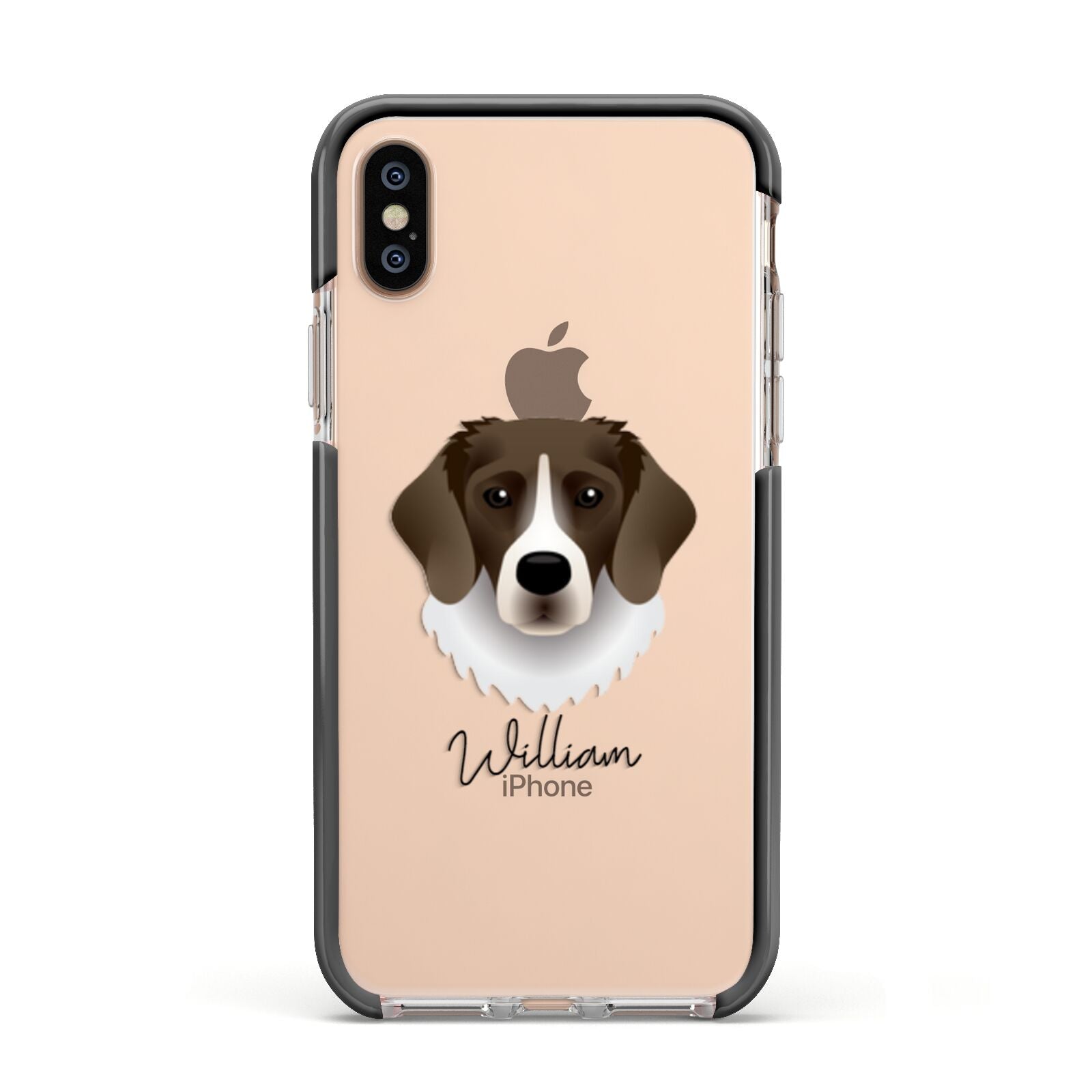 Stabyhoun Personalised Apple iPhone Xs Impact Case Black Edge on Gold Phone