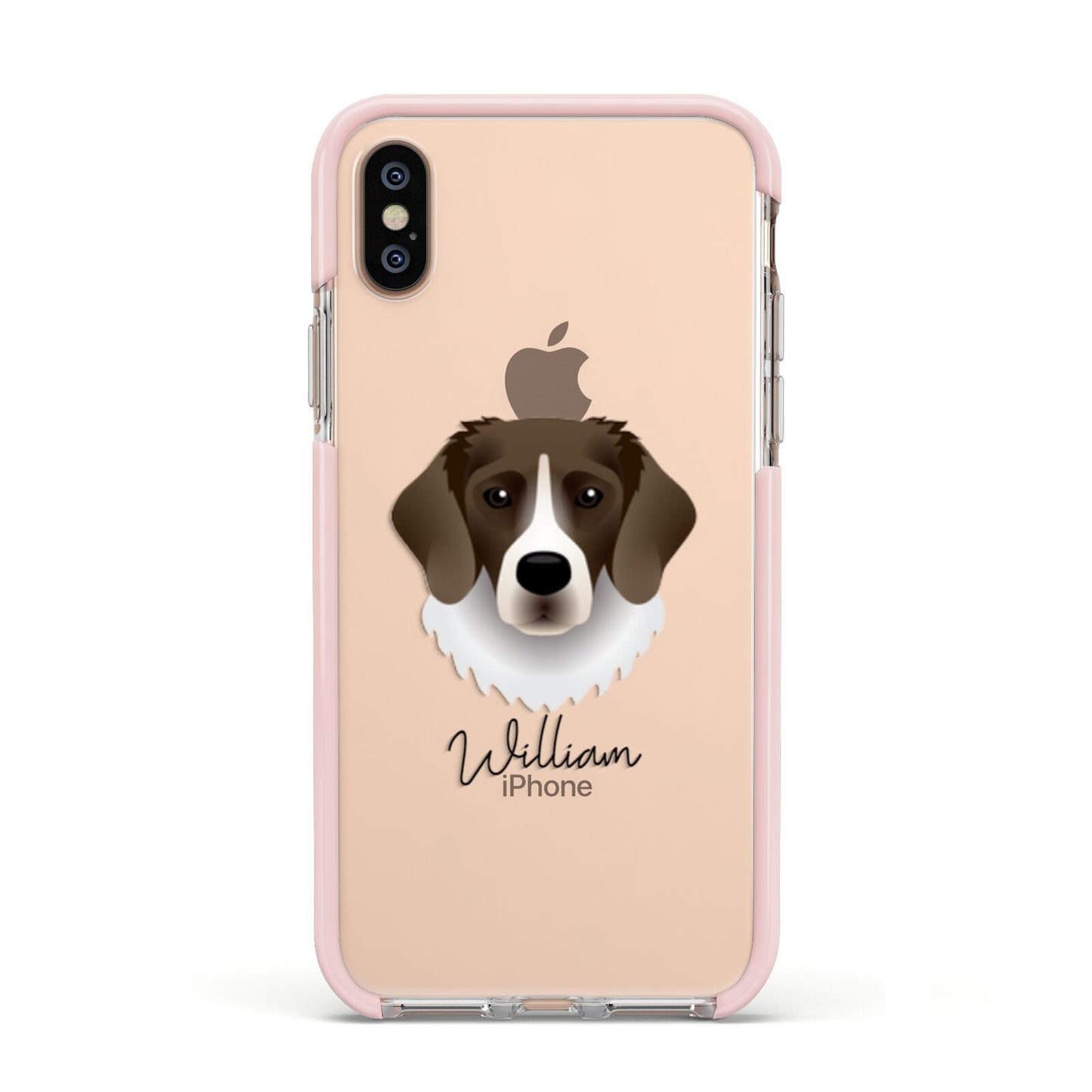 Stabyhoun Personalised Apple iPhone Xs Impact Case Pink Edge on Gold Phone