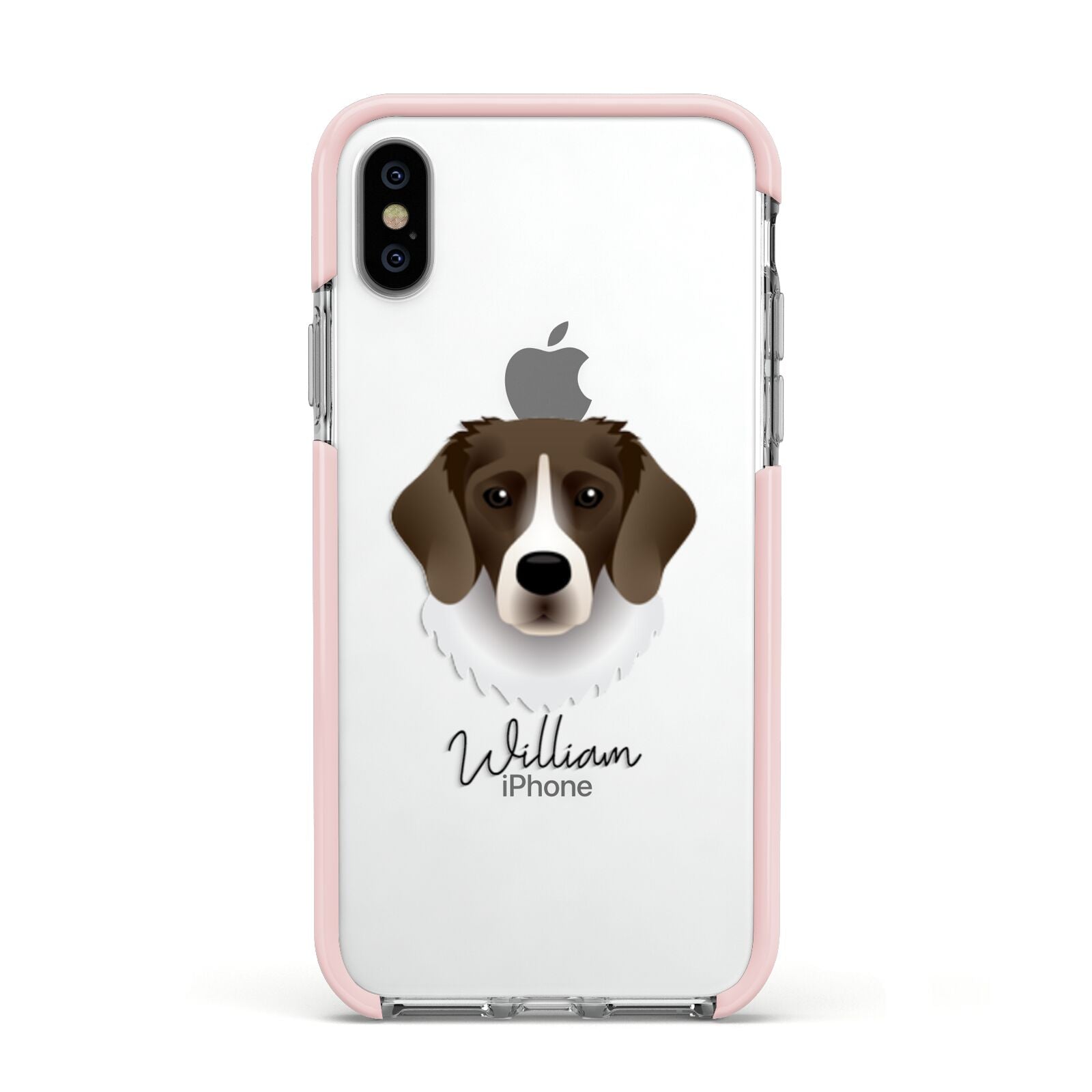 Stabyhoun Personalised Apple iPhone Xs Impact Case Pink Edge on Silver Phone