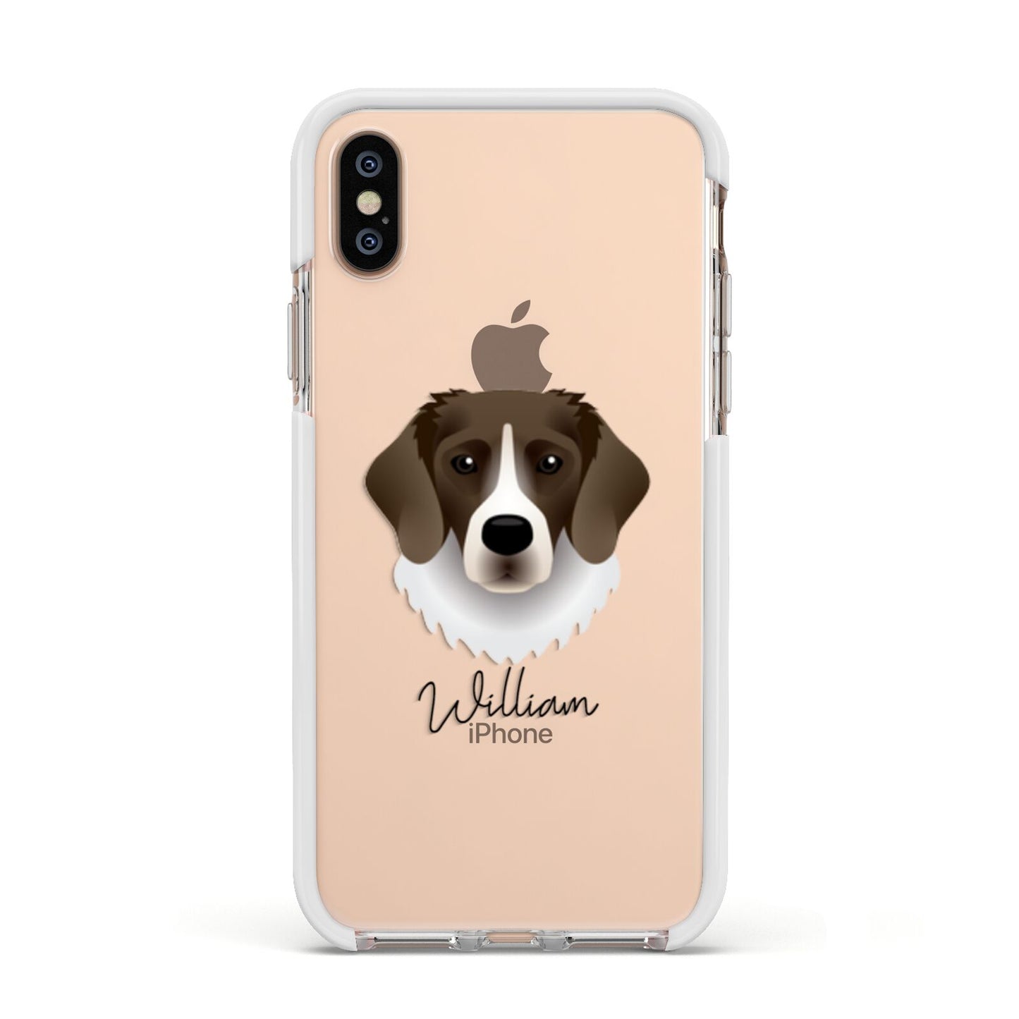 Stabyhoun Personalised Apple iPhone Xs Impact Case White Edge on Gold Phone