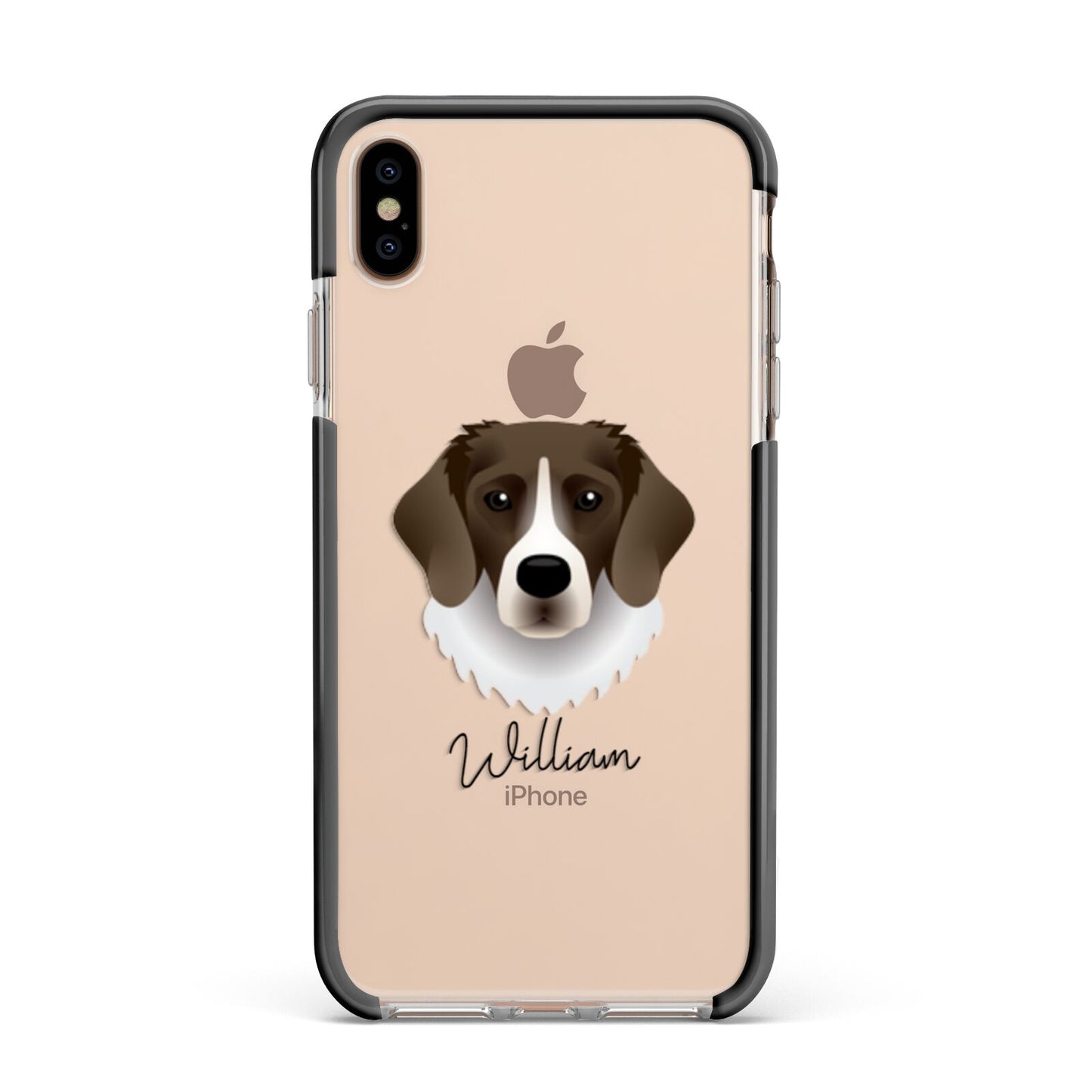 Stabyhoun Personalised Apple iPhone Xs Max Impact Case Black Edge on Gold Phone