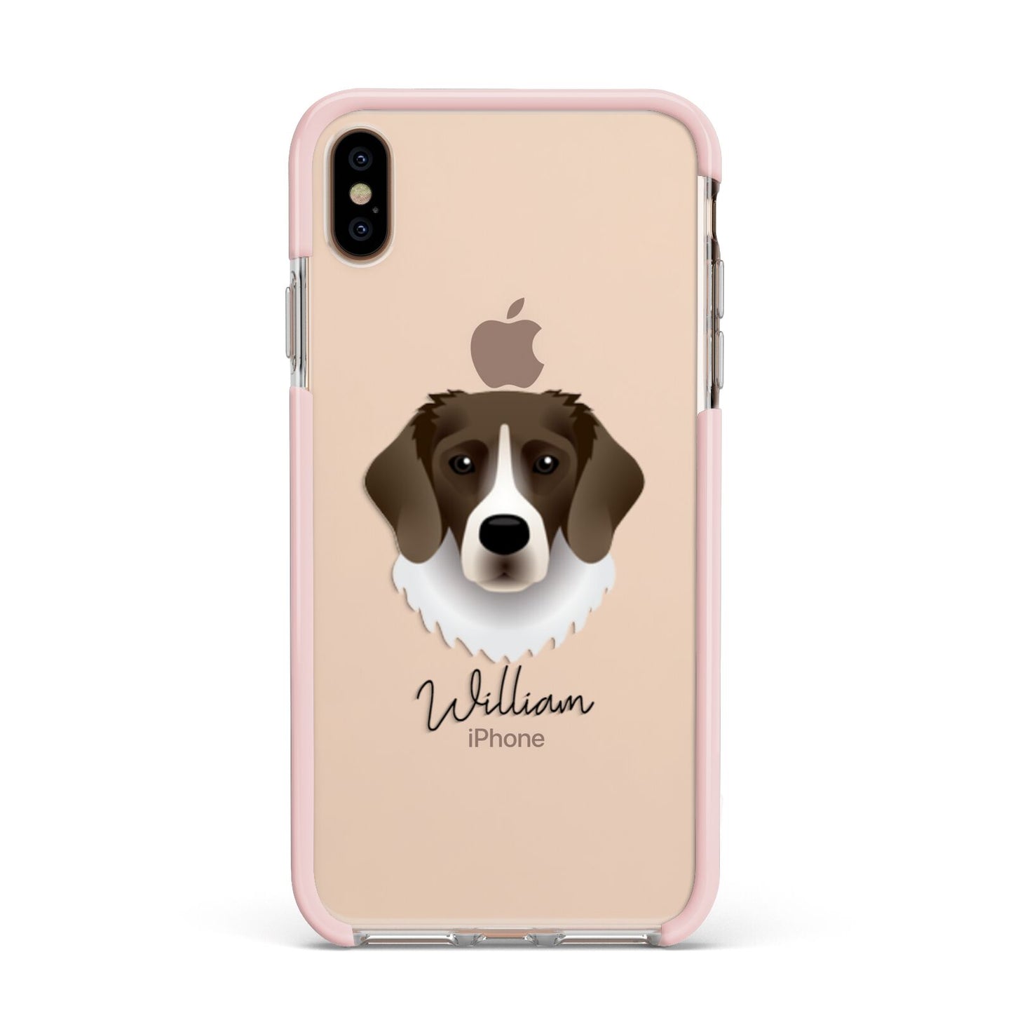 Stabyhoun Personalised Apple iPhone Xs Max Impact Case Pink Edge on Gold Phone