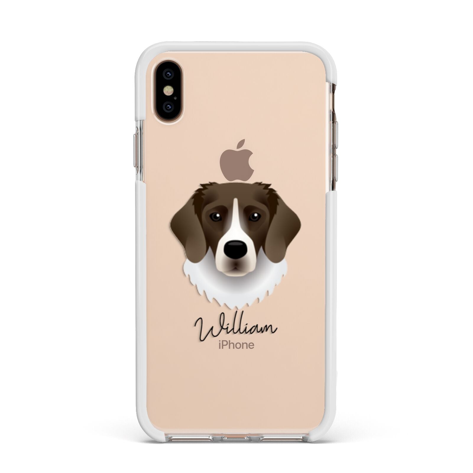 Stabyhoun Personalised Apple iPhone Xs Max Impact Case White Edge on Gold Phone