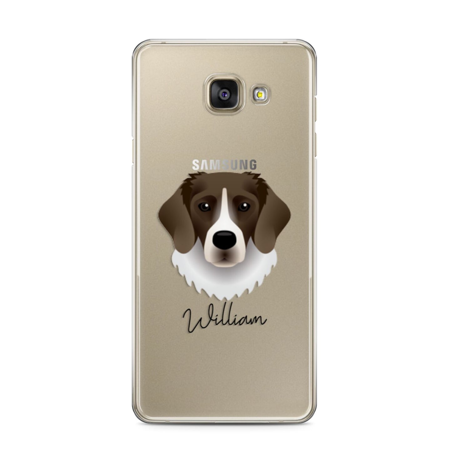 Stabyhoun Personalised Samsung Galaxy A3 2016 Case on gold phone