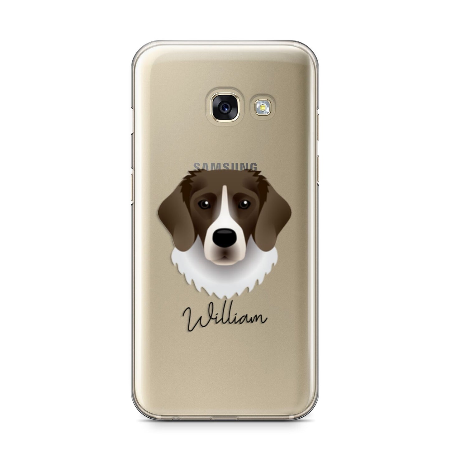 Stabyhoun Personalised Samsung Galaxy A3 2017 Case on gold phone