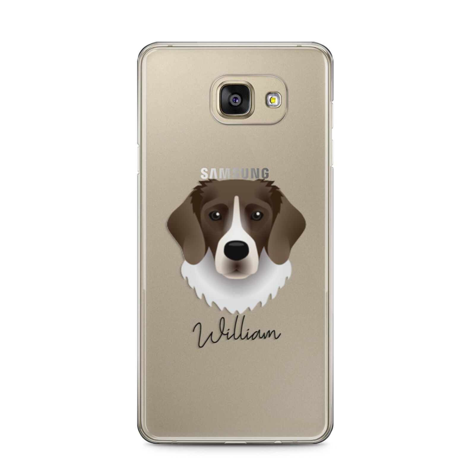 Stabyhoun Personalised Samsung Galaxy A5 2016 Case on gold phone