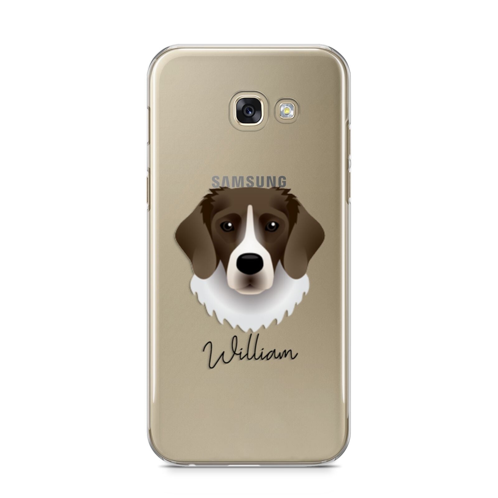 Stabyhoun Personalised Samsung Galaxy A5 2017 Case on gold phone