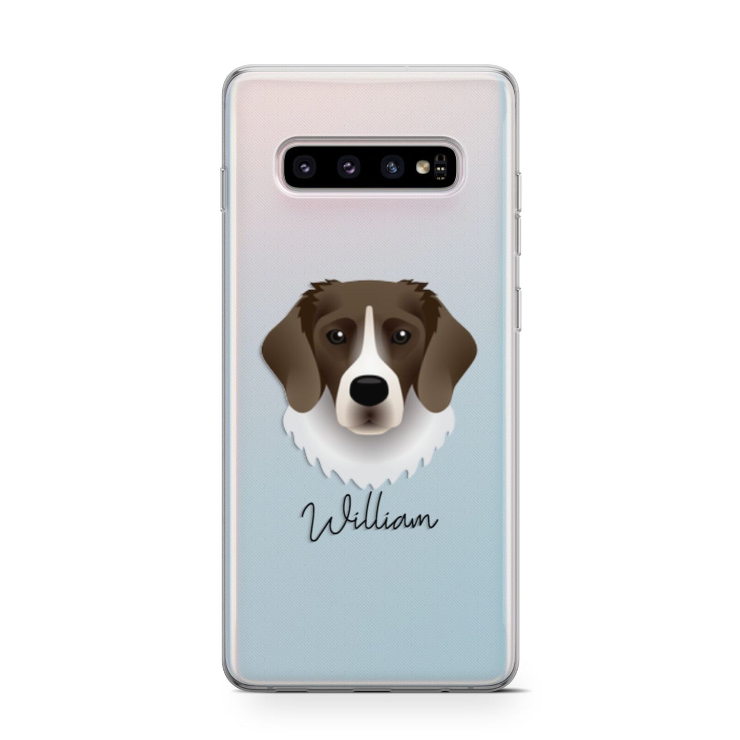 Stabyhoun Personalised Samsung Galaxy S10 Case