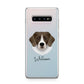 Stabyhoun Personalised Samsung Galaxy S10 Plus Case