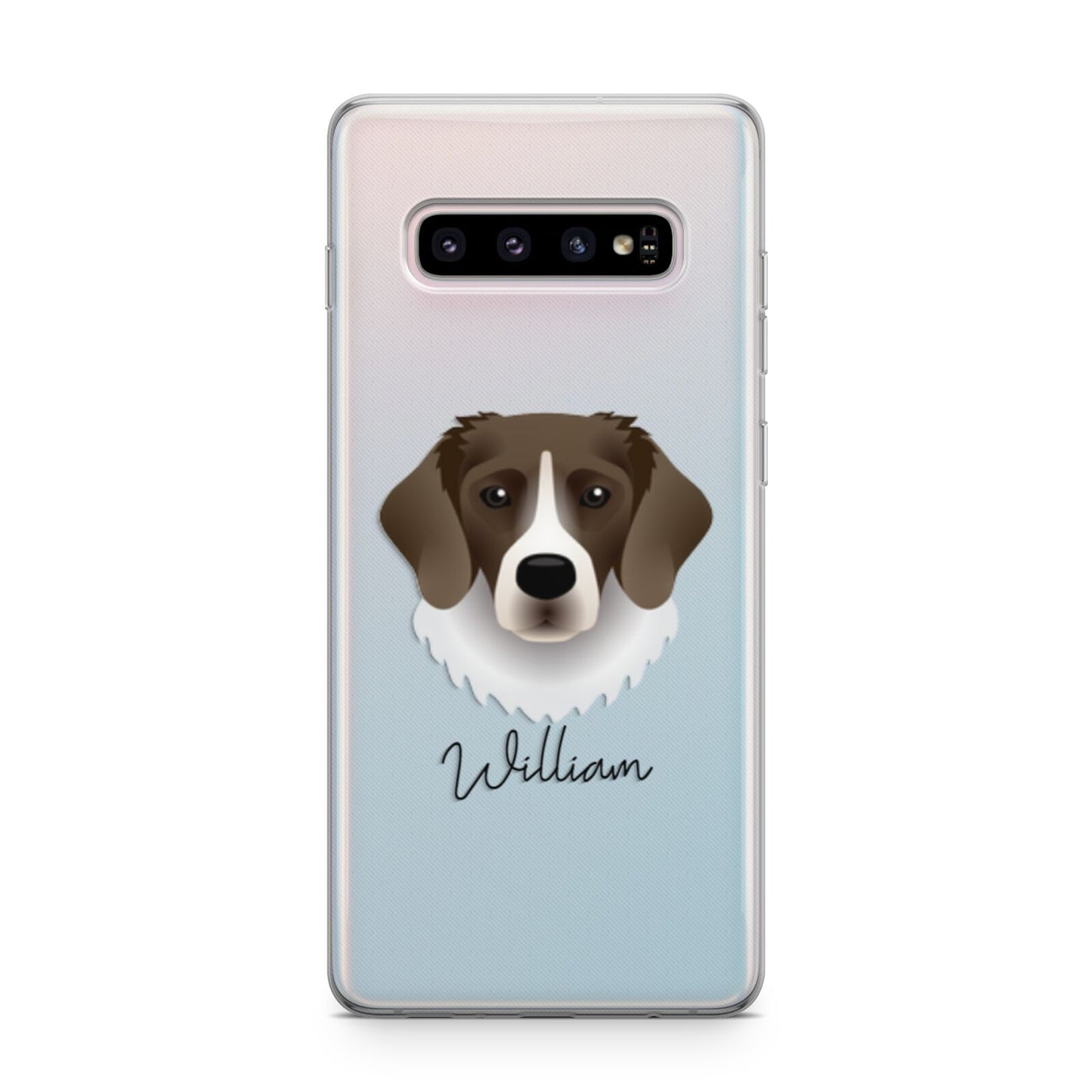 Stabyhoun Personalised Samsung Galaxy S10 Plus Case