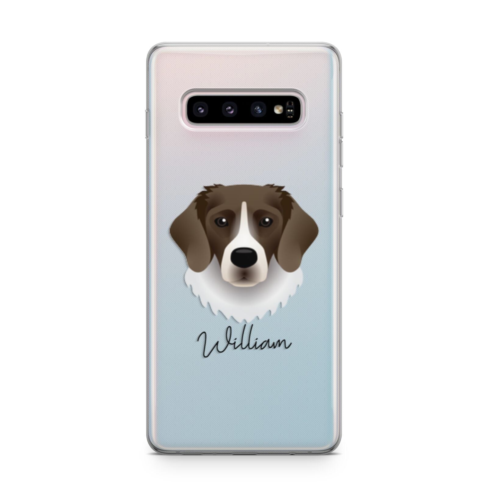 Stabyhoun Personalised Samsung Galaxy S10 Plus Case