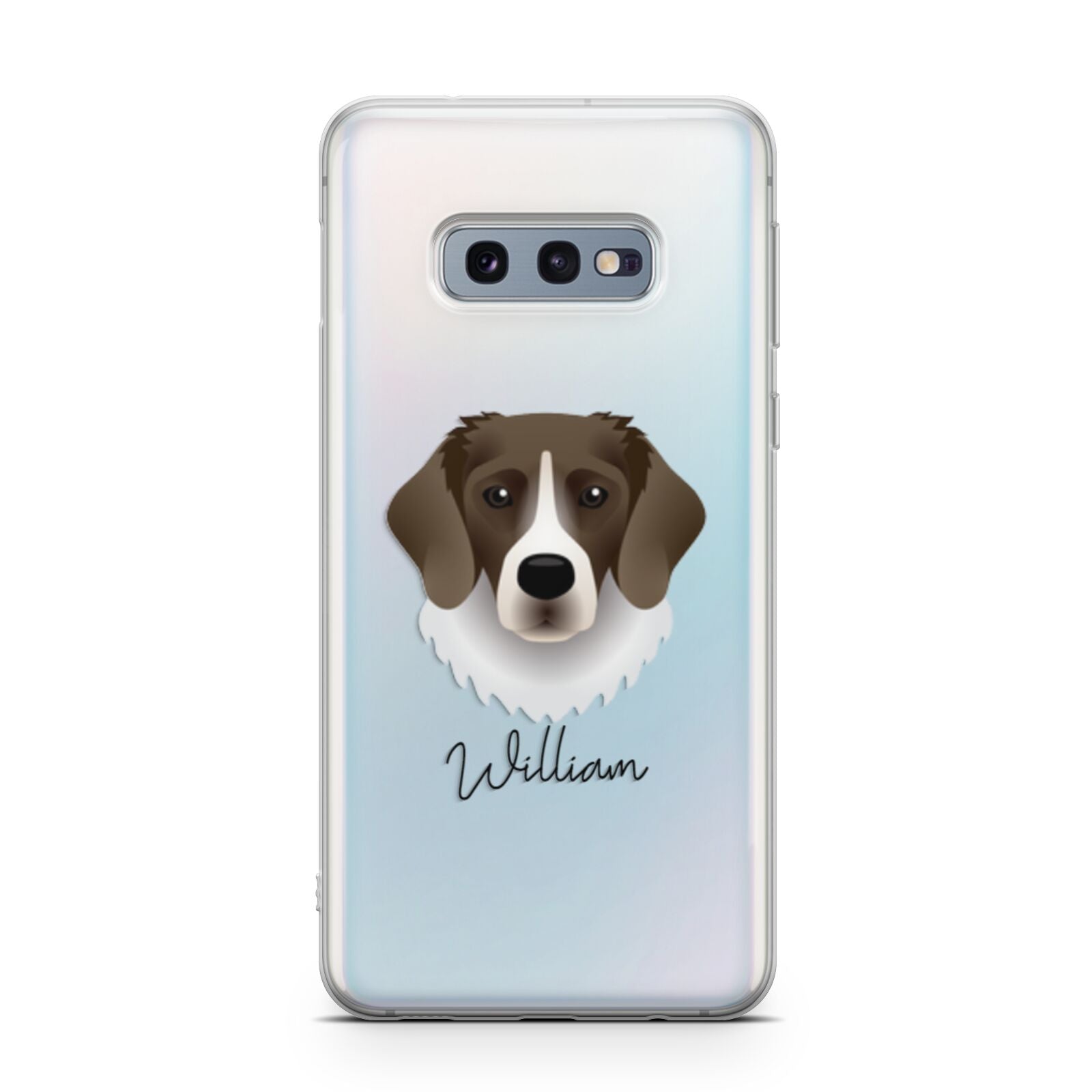 Stabyhoun Personalised Samsung Galaxy S10E Case