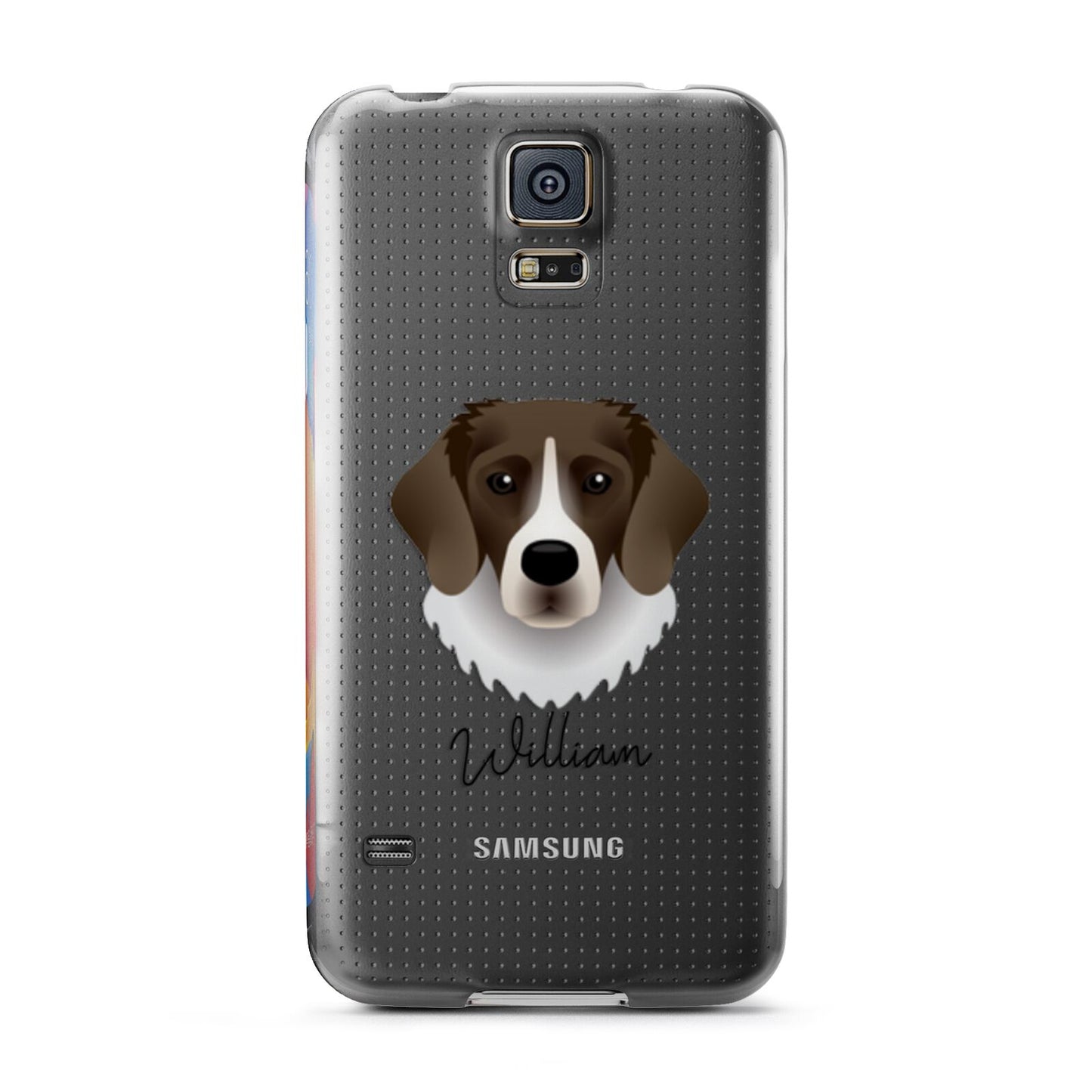 Stabyhoun Personalised Samsung Galaxy S5 Case