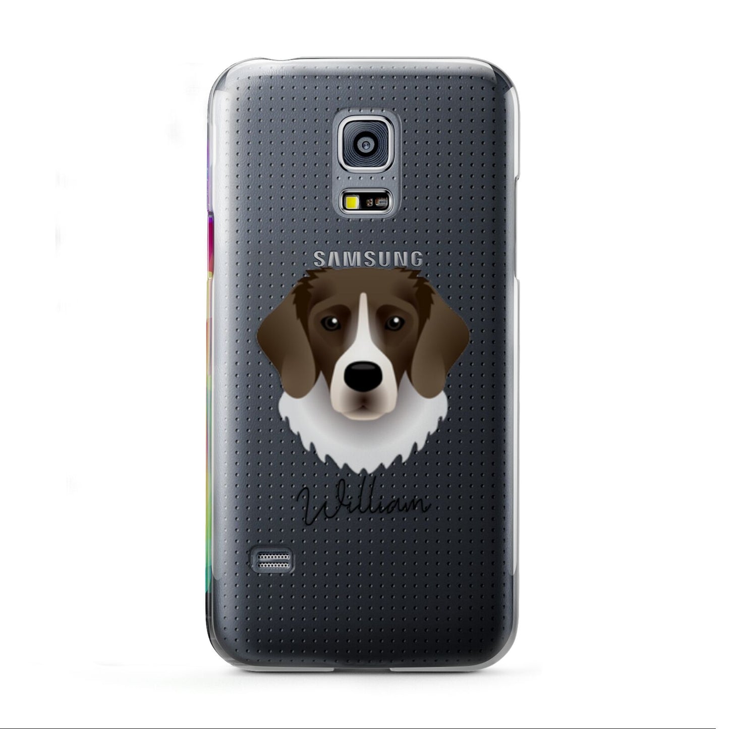 Stabyhoun Personalised Samsung Galaxy S5 Mini Case