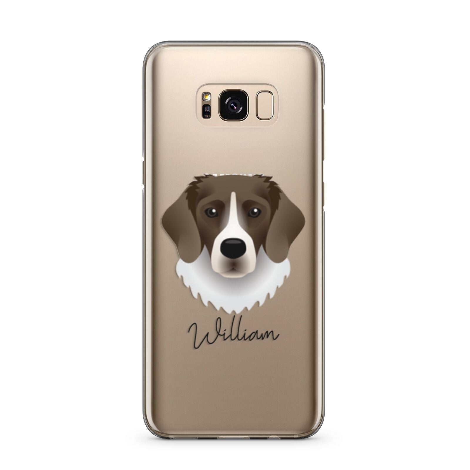 Stabyhoun Personalised Samsung Galaxy S8 Plus Case