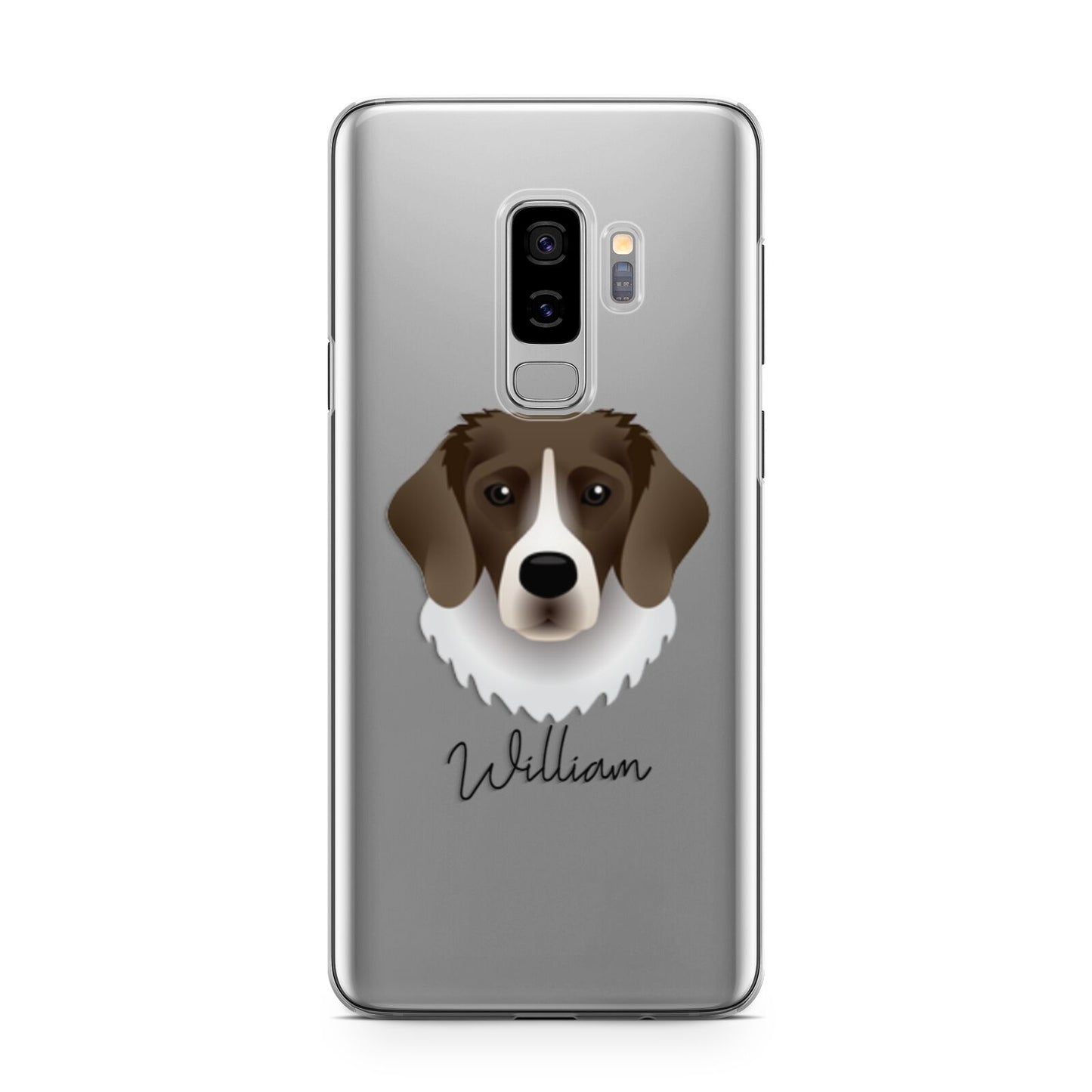 Stabyhoun Personalised Samsung Galaxy S9 Plus Case on Silver phone