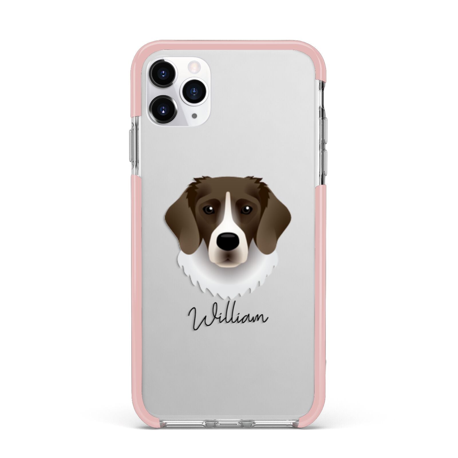 Stabyhoun Personalised iPhone 11 Pro Max Impact Pink Edge Case