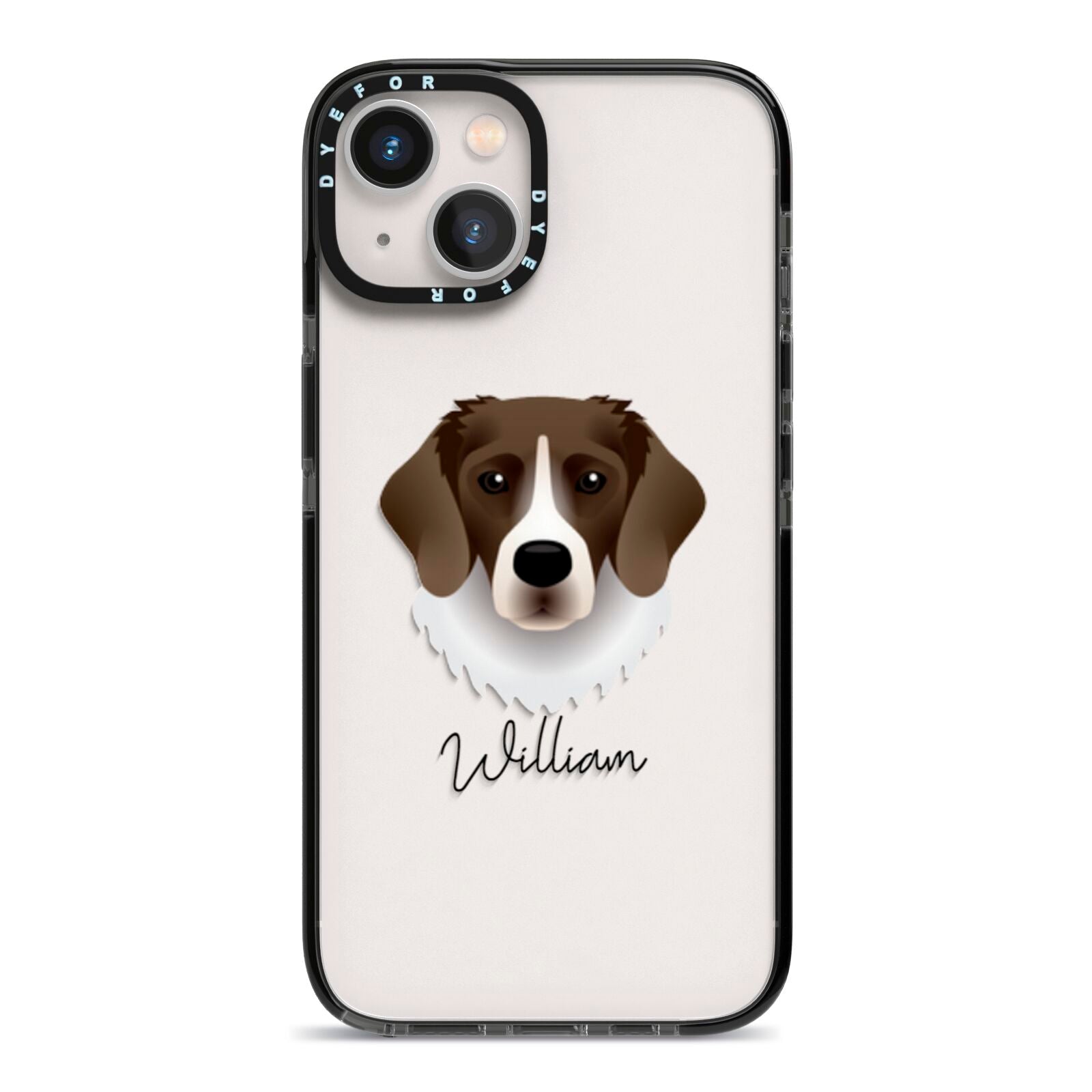 Stabyhoun Personalised iPhone 13 Black Impact Case on Silver phone