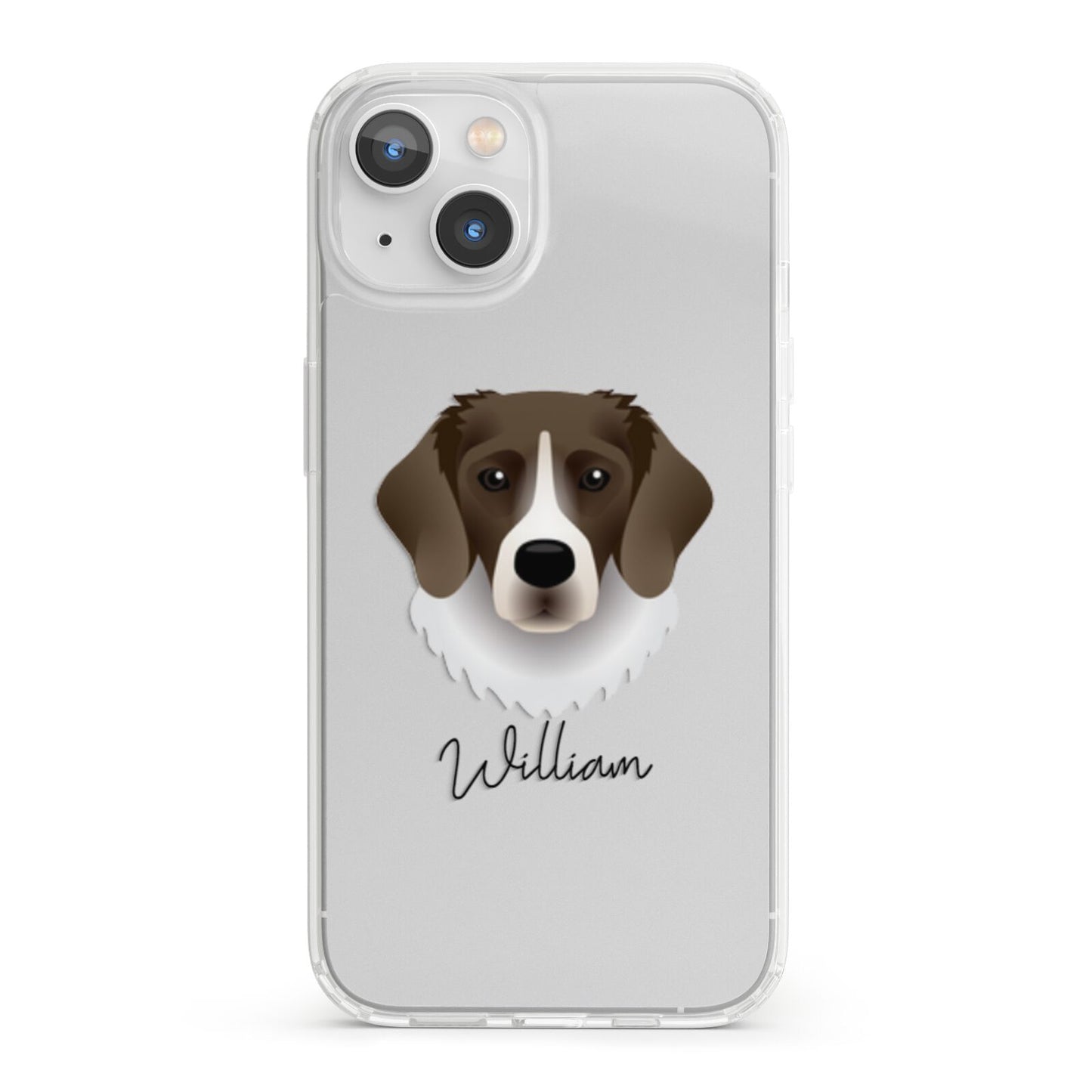 Stabyhoun Personalised iPhone 13 Clear Bumper Case