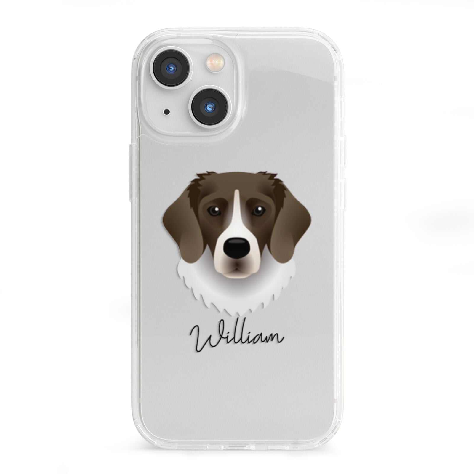 Stabyhoun Personalised iPhone 13 Mini Clear Bumper Case