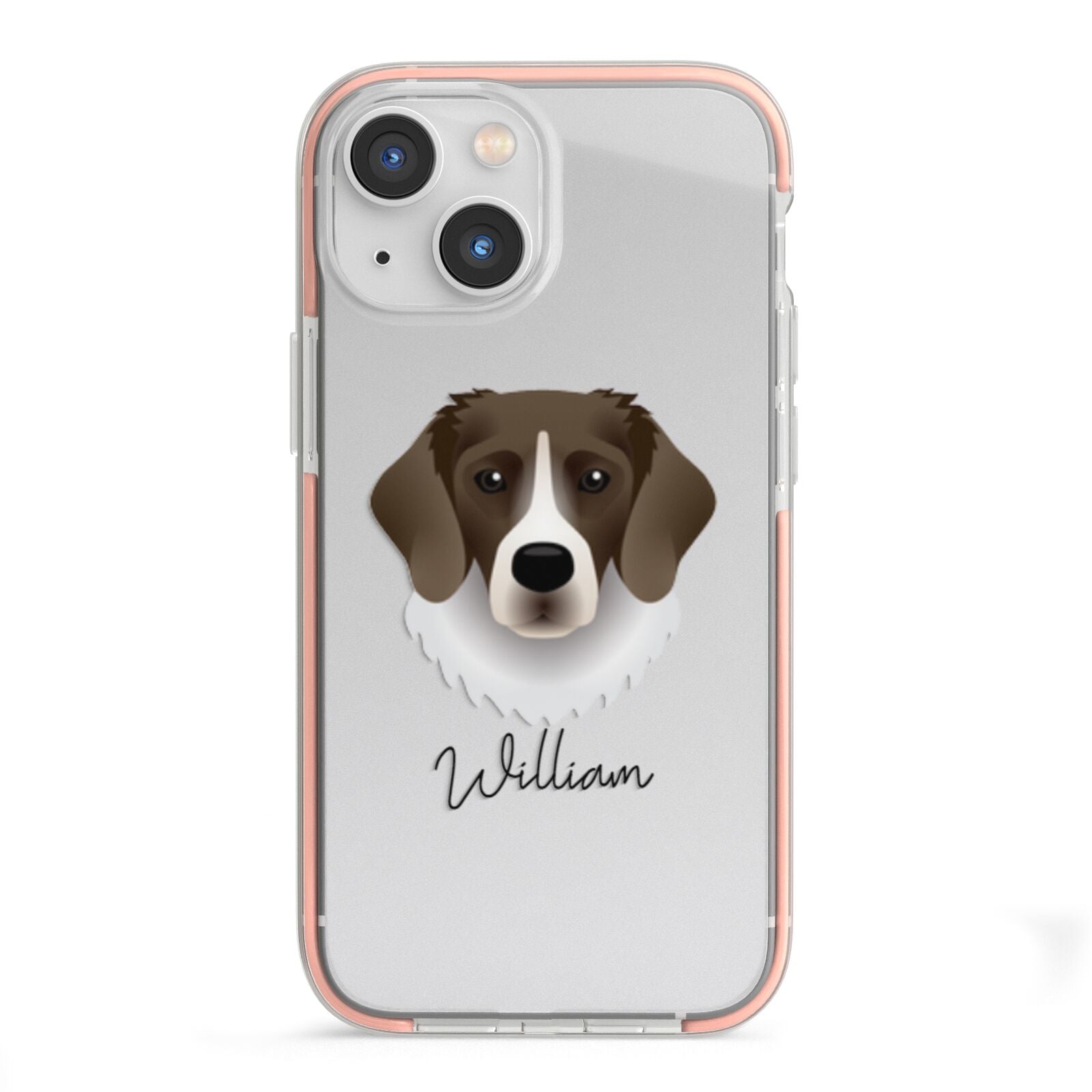Stabyhoun Personalised iPhone 13 Mini TPU Impact Case with Pink Edges