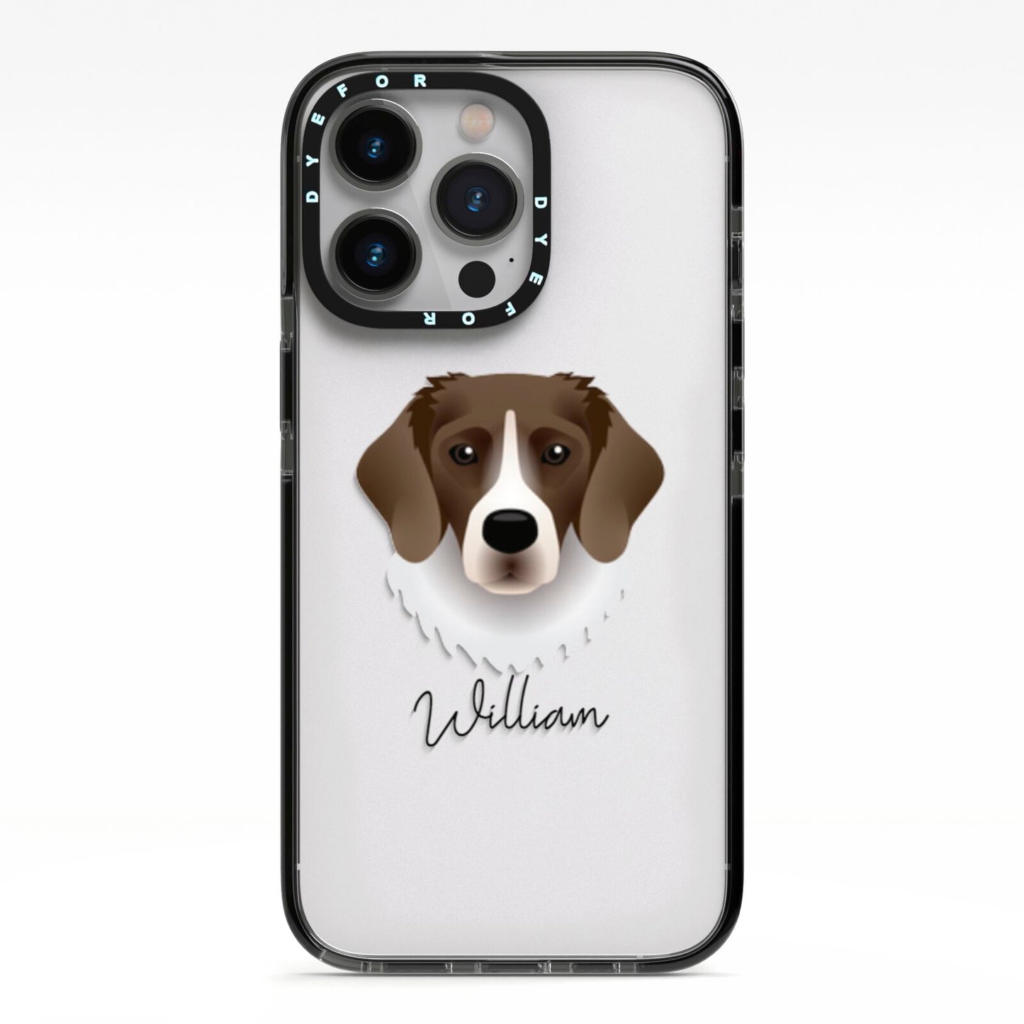 Stabyhoun Personalised iPhone 13 Pro Black Impact Case on Silver phone