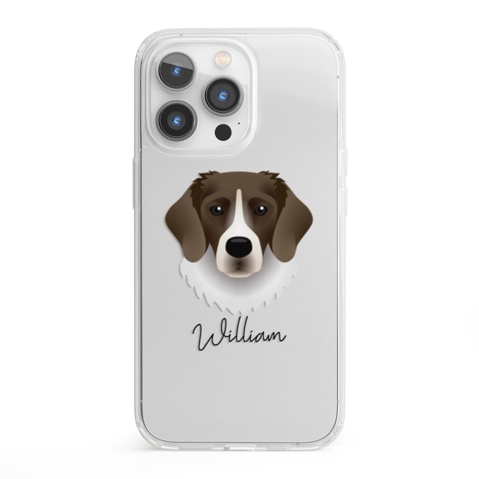 Stabyhoun Personalised iPhone 13 Pro Clear Bumper Case