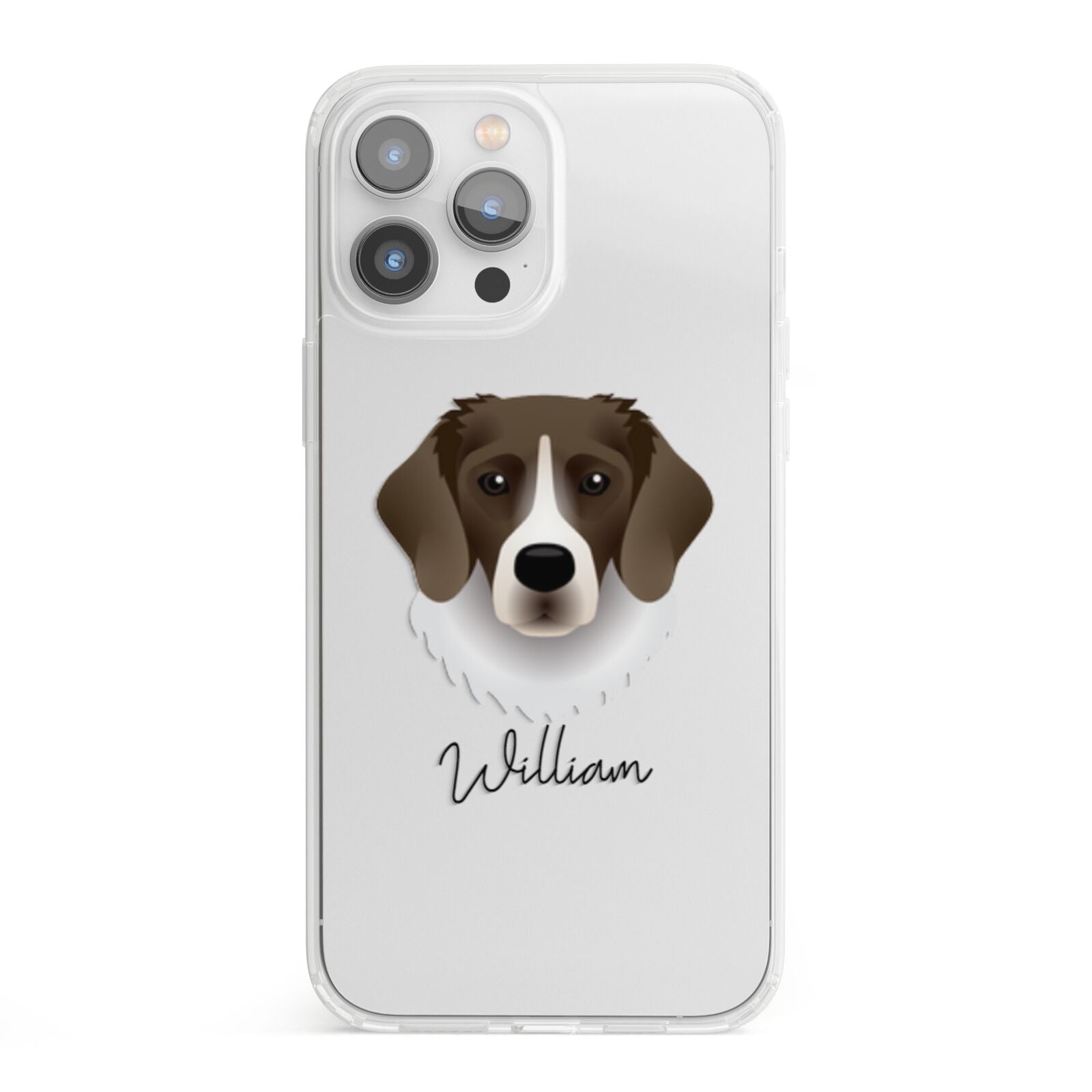 Stabyhoun Personalised iPhone 13 Pro Max Clear Bumper Case