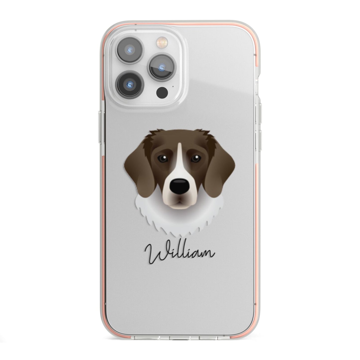 Stabyhoun Personalised iPhone 13 Pro Max TPU Impact Case with Pink Edges