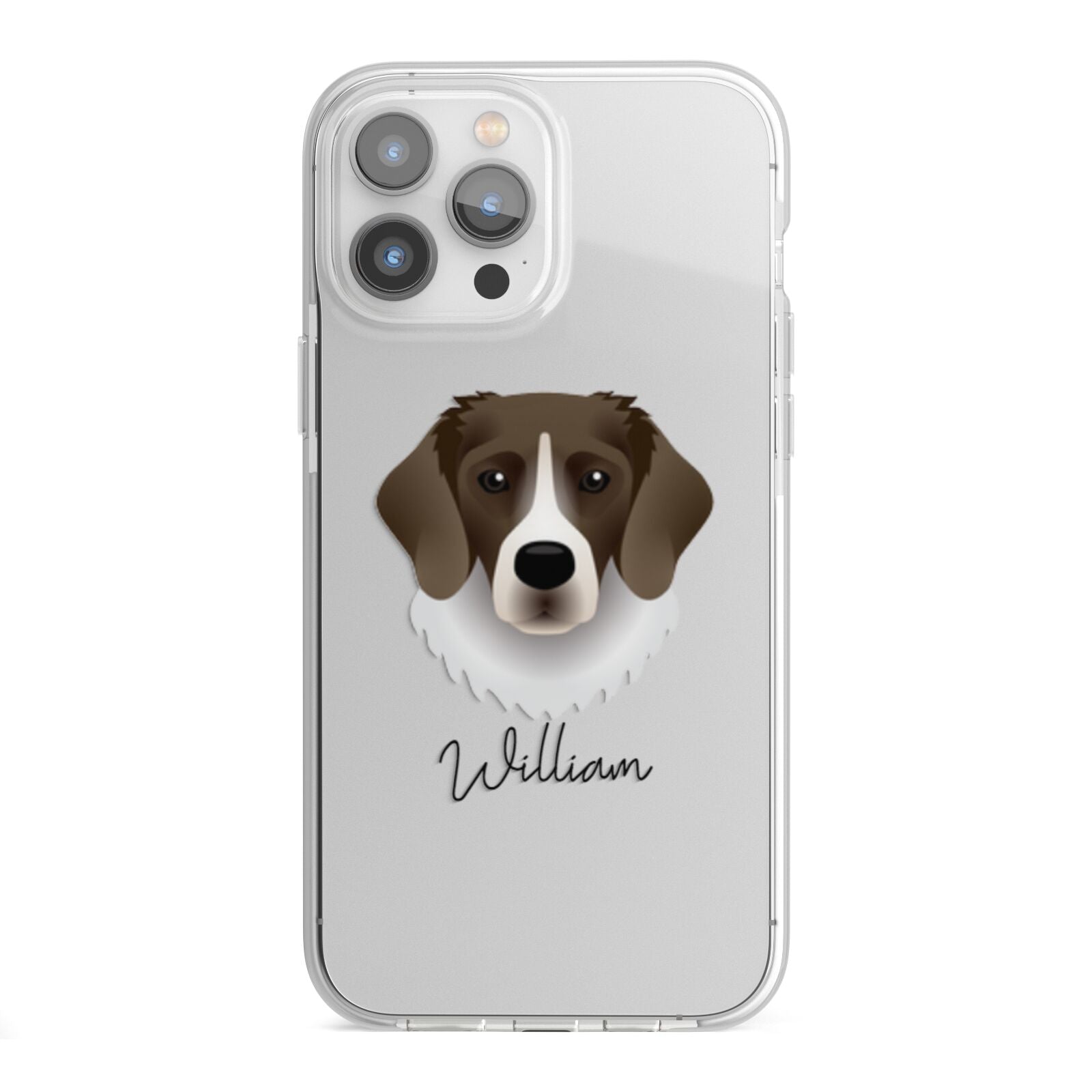 Stabyhoun Personalised iPhone 13 Pro Max TPU Impact Case with White Edges