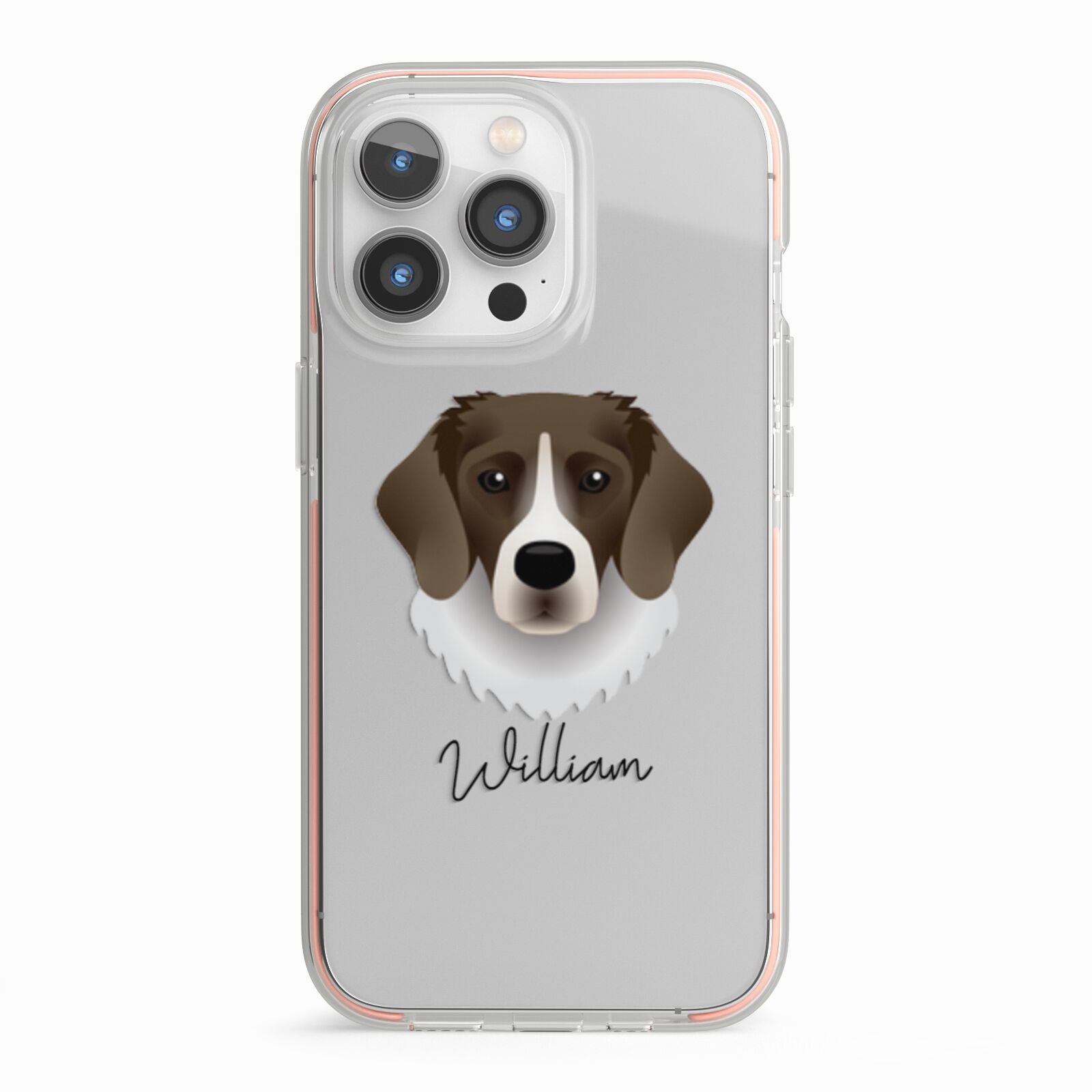 Stabyhoun Personalised iPhone 13 Pro TPU Impact Case with Pink Edges