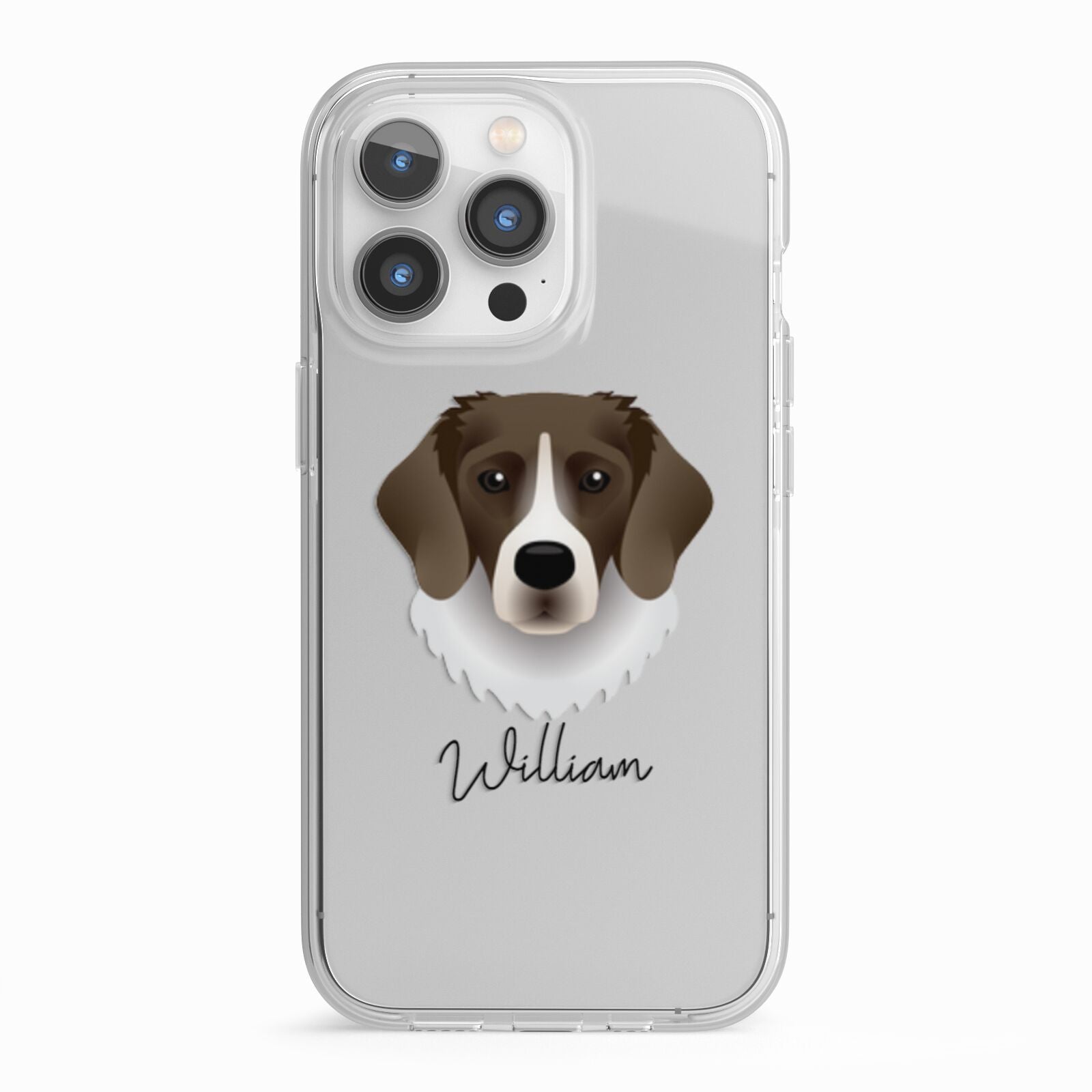 Stabyhoun Personalised iPhone 13 Pro TPU Impact Case with White Edges
