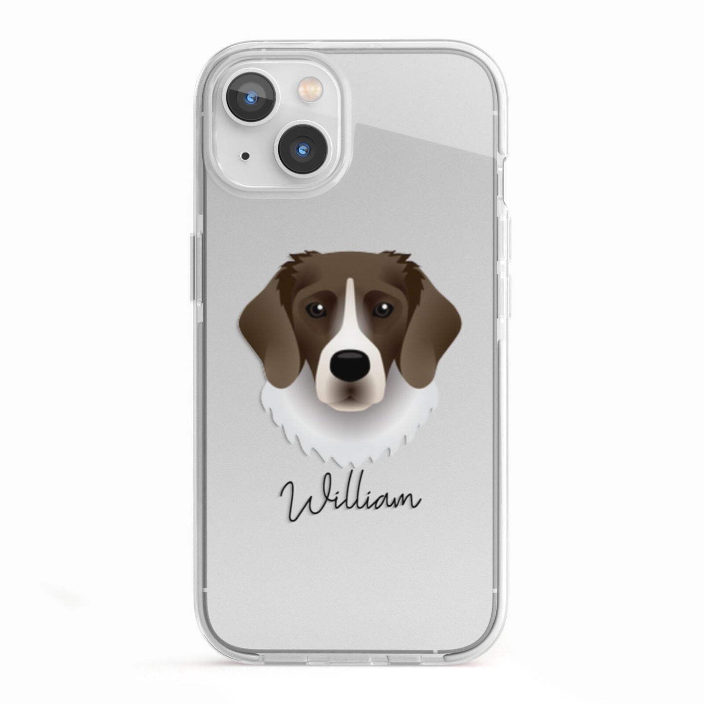 Stabyhoun Personalised iPhone 13 TPU Impact Case with White Edges