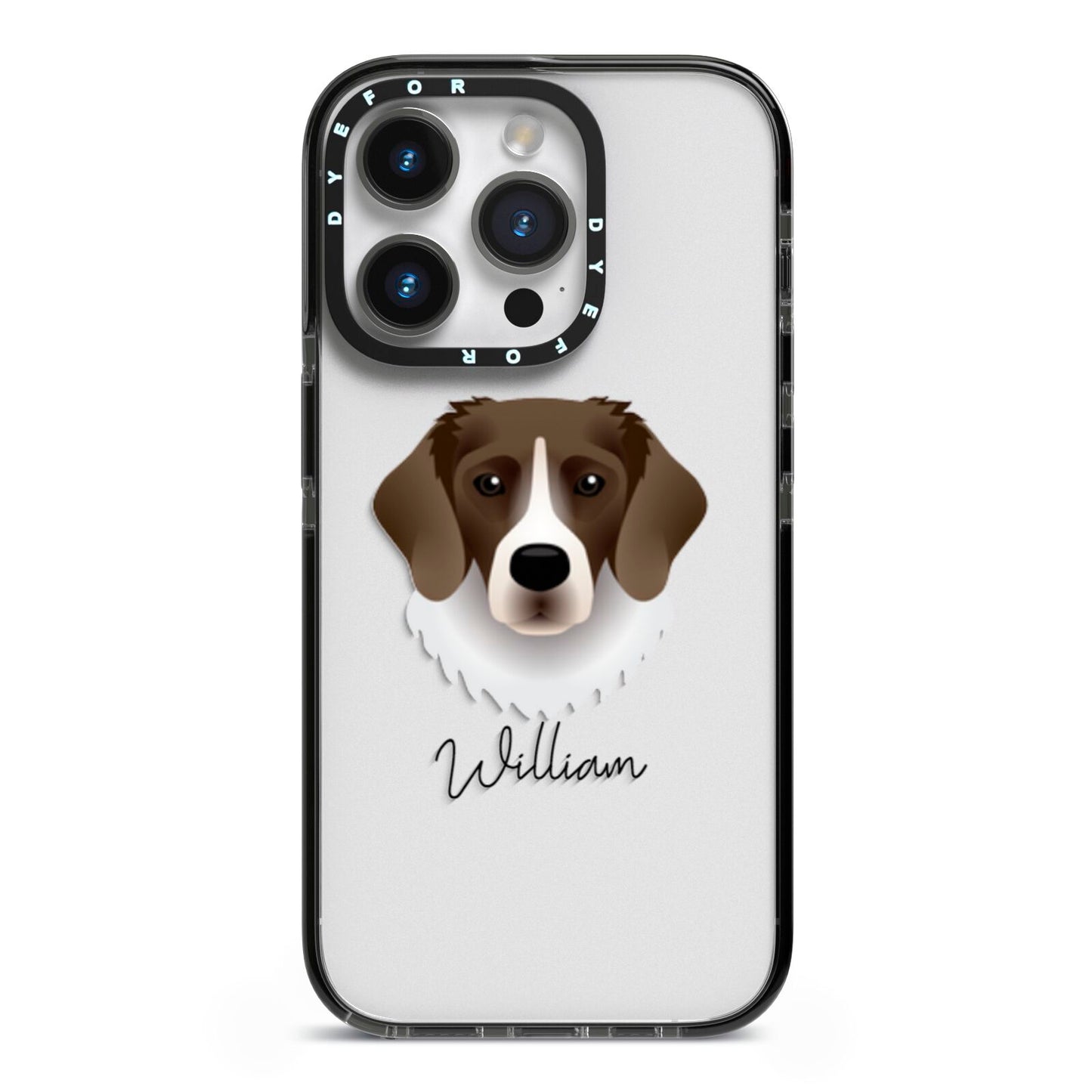 Stabyhoun Personalised iPhone 14 Pro Black Impact Case on Silver phone