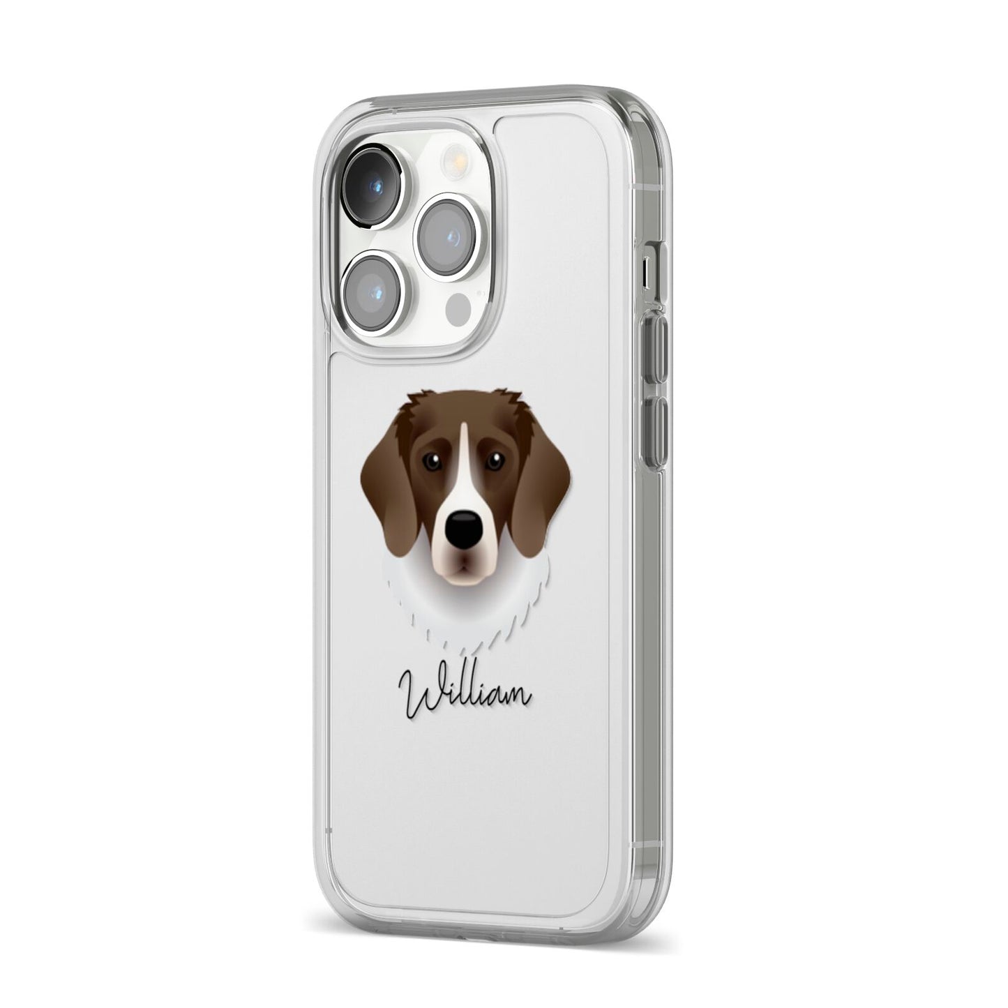 Stabyhoun Personalised iPhone 14 Pro Clear Tough Case Silver Angled Image